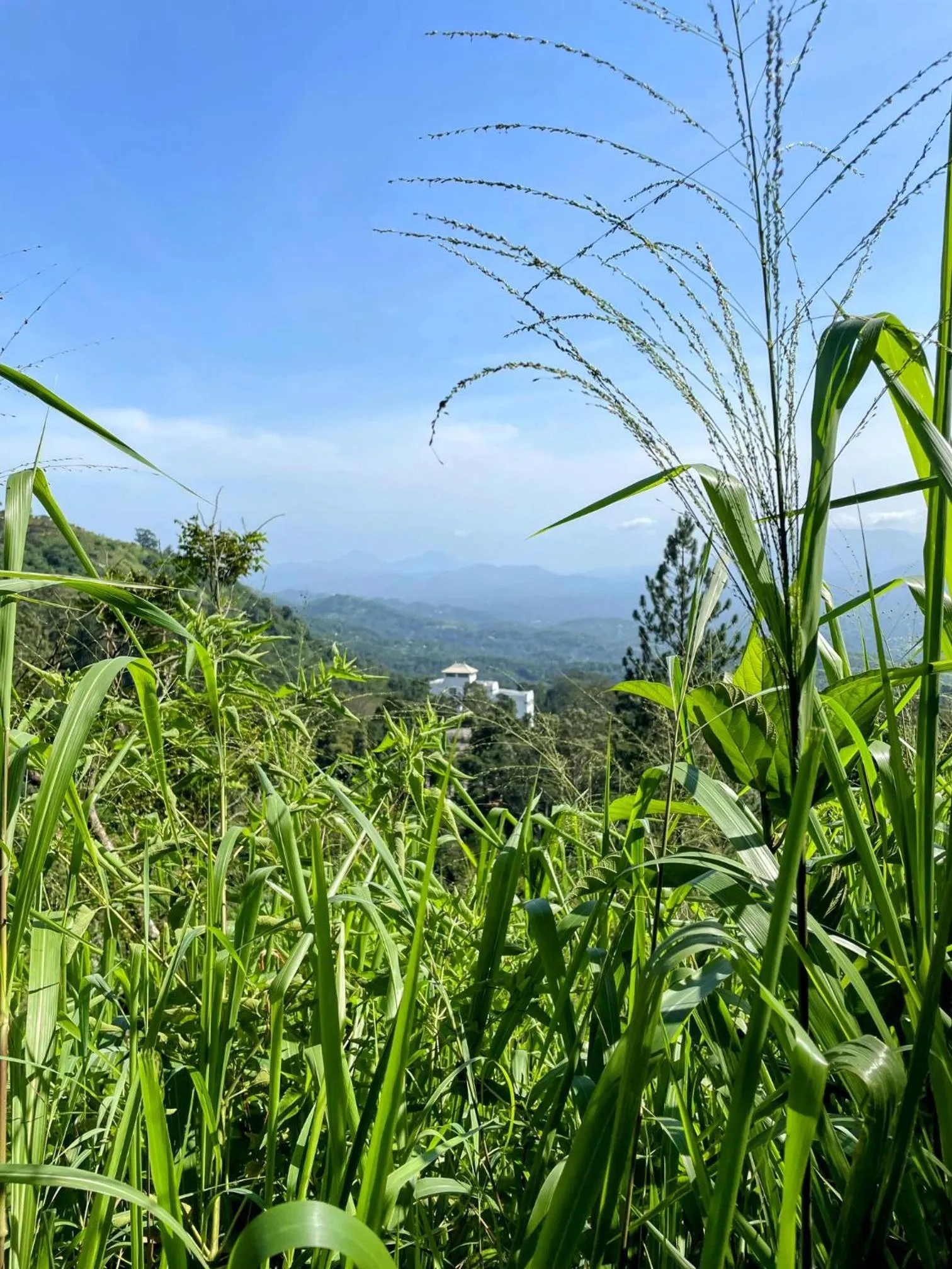 View (from property/room) in Bellwood Hills Resort & Spa