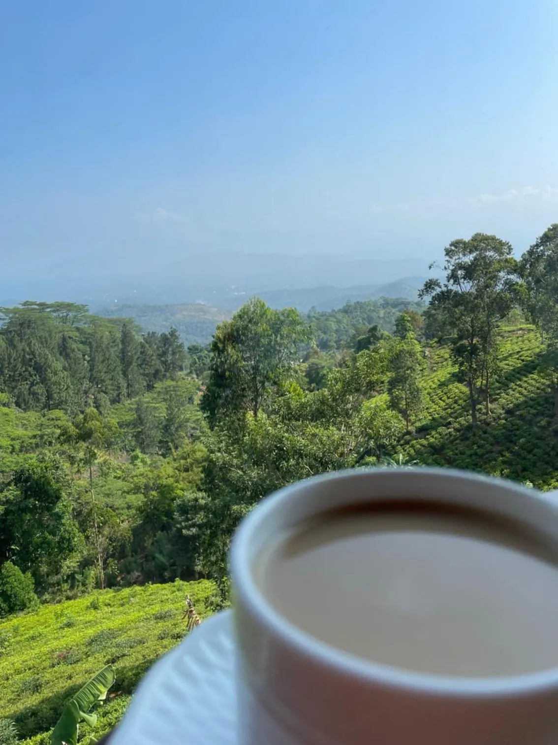 View (from property/room) in Bellwood Hills Resort & Spa