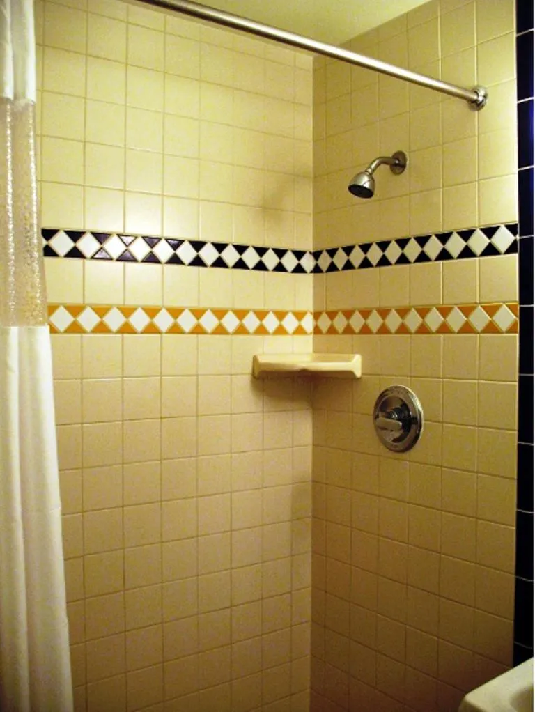 Toilet in Golden West Motel