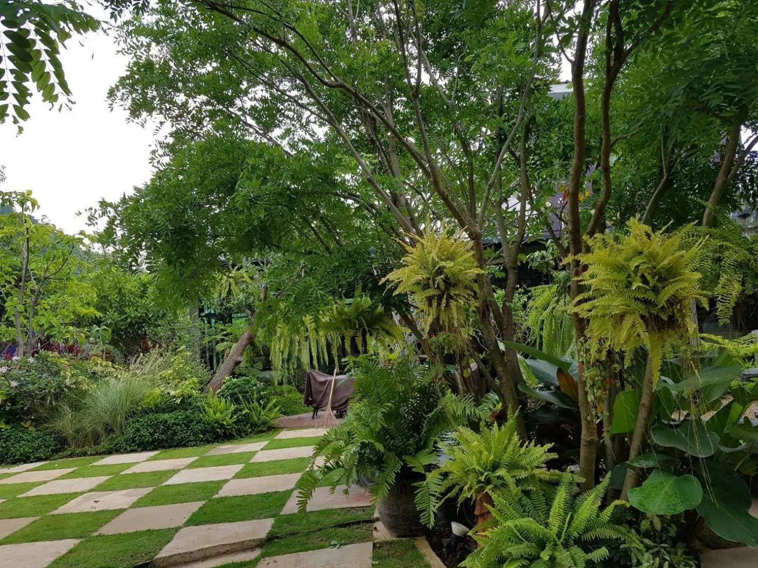 The Forest for rest resort Khao Yai