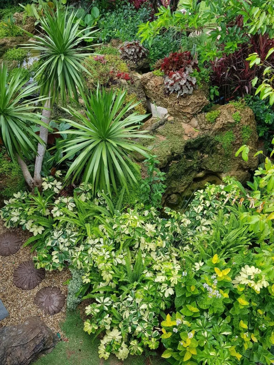 Garden in The Forest for rest resort Khao Yai