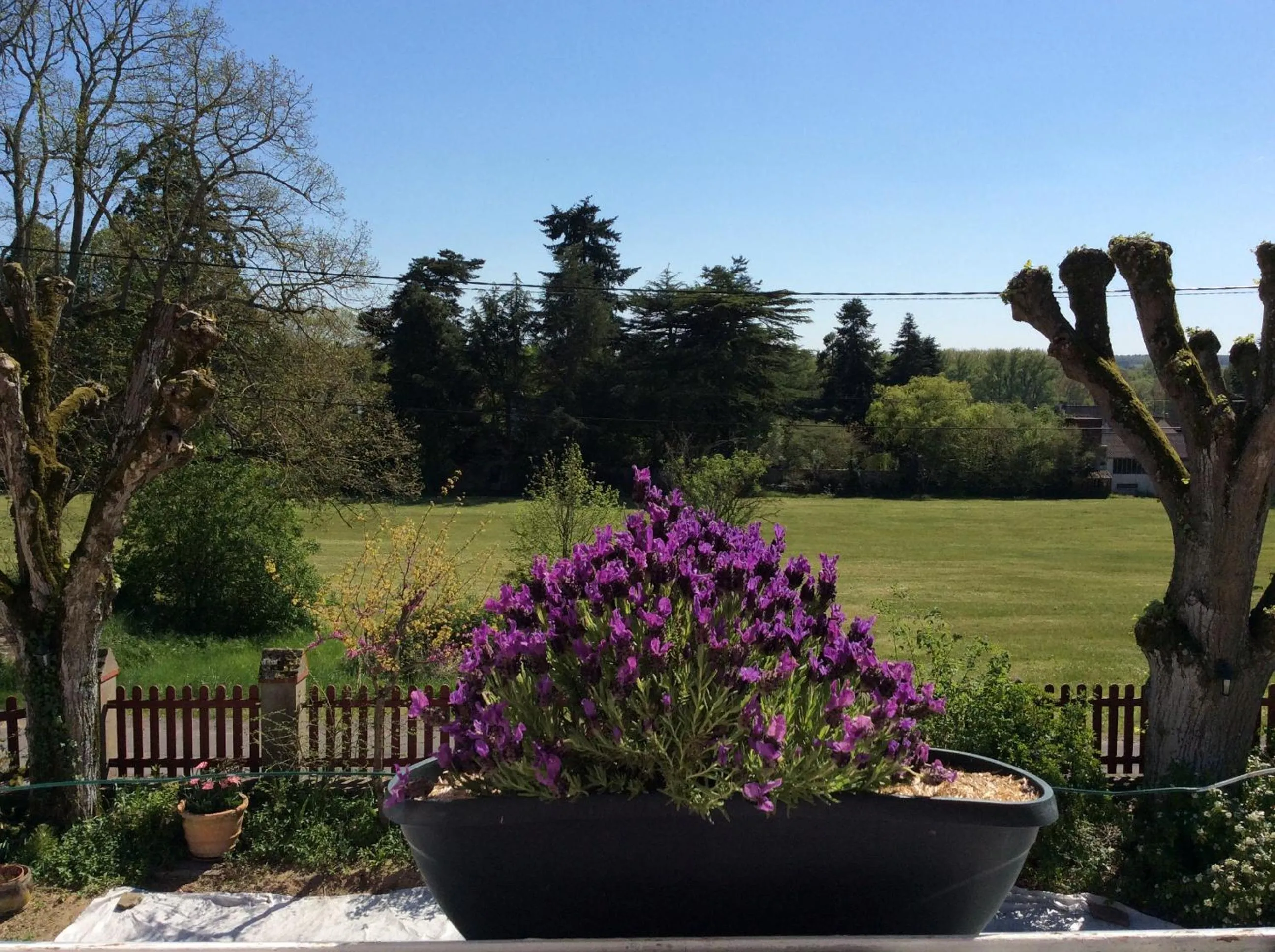 View (from property/room) in Le Clos Mony