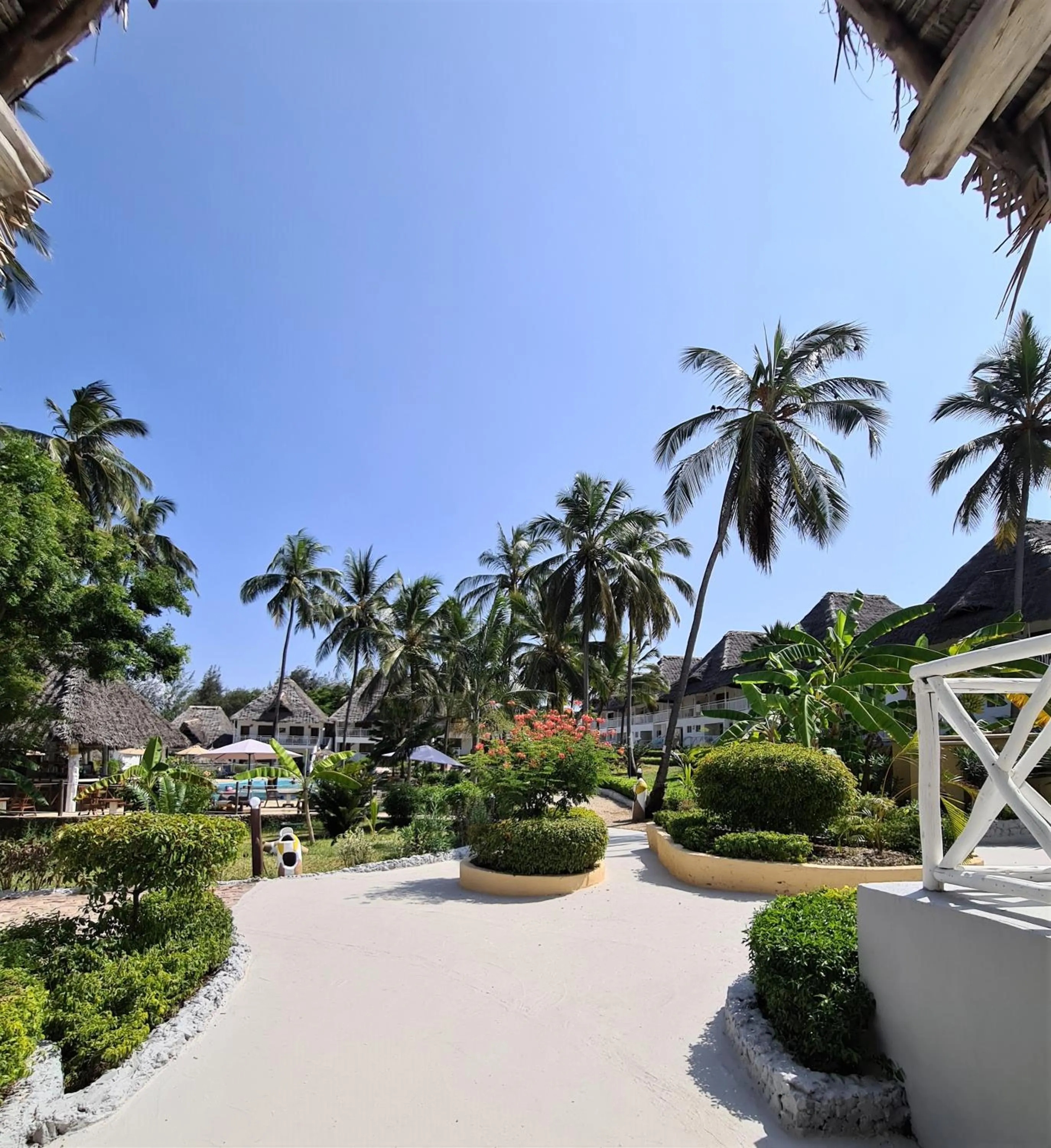 Lounge or bar in Paradise Beach Resort & Spa