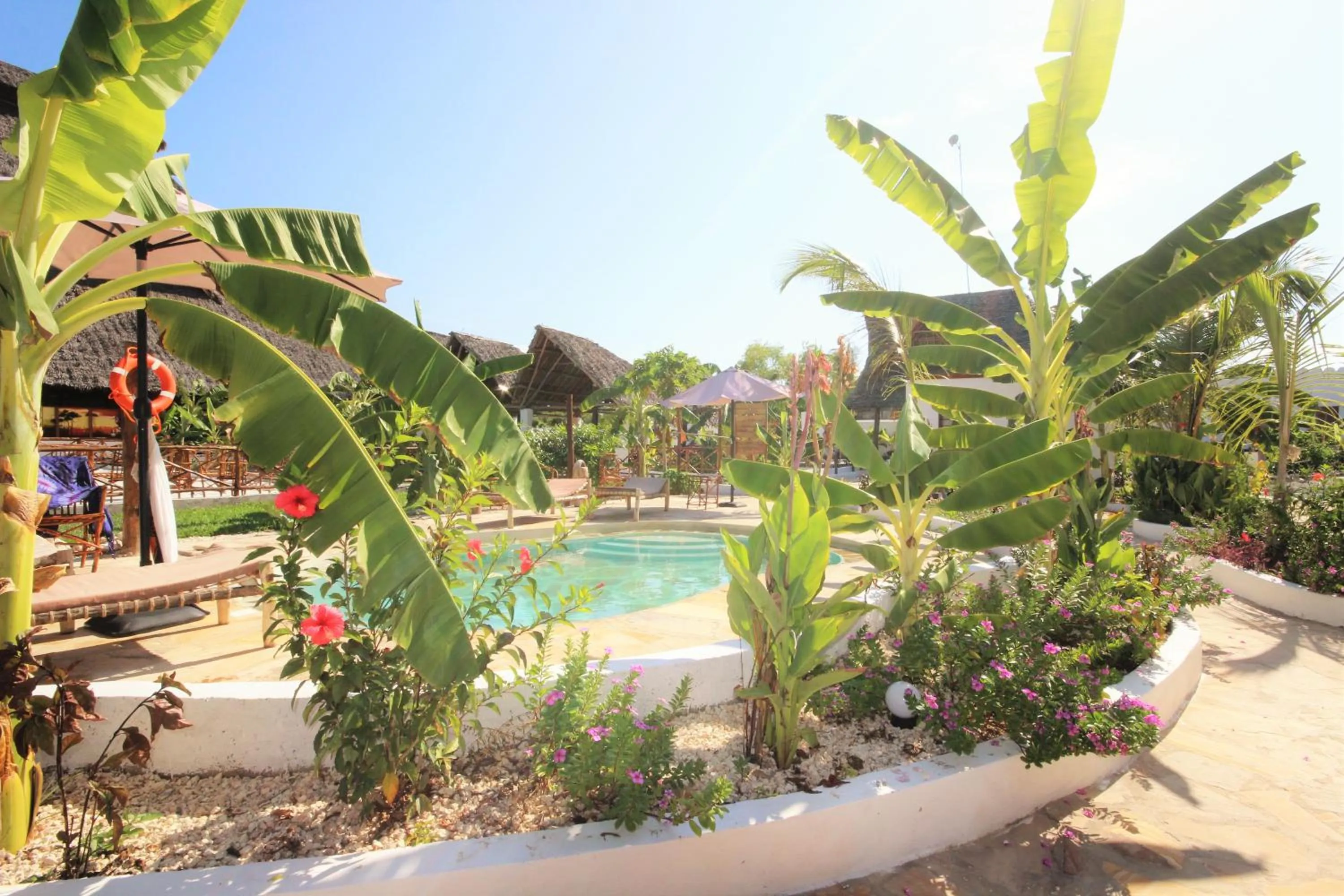 Swimming pool in Paradise Beach Resort & Spa