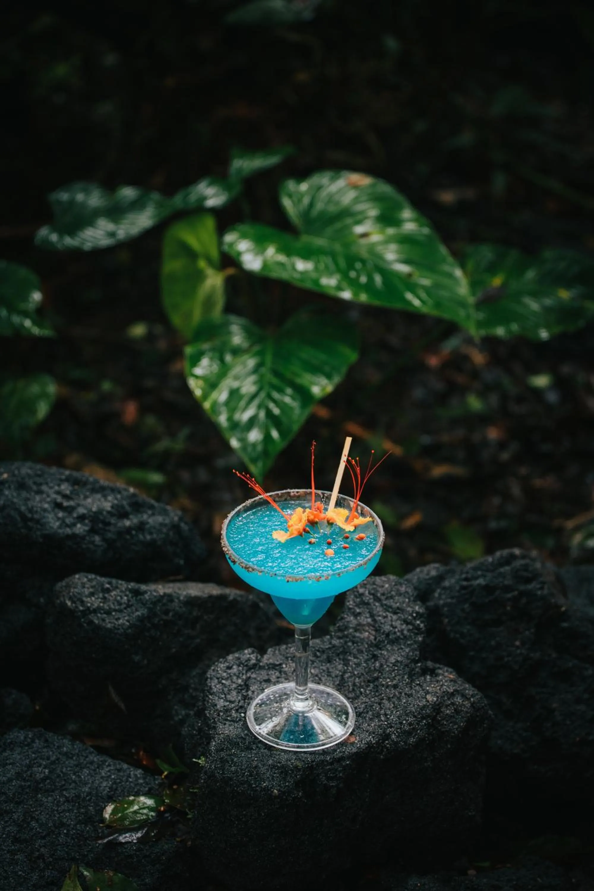 Restaurant/places to eat in Montaña de fuego Mountain Resort & Spa