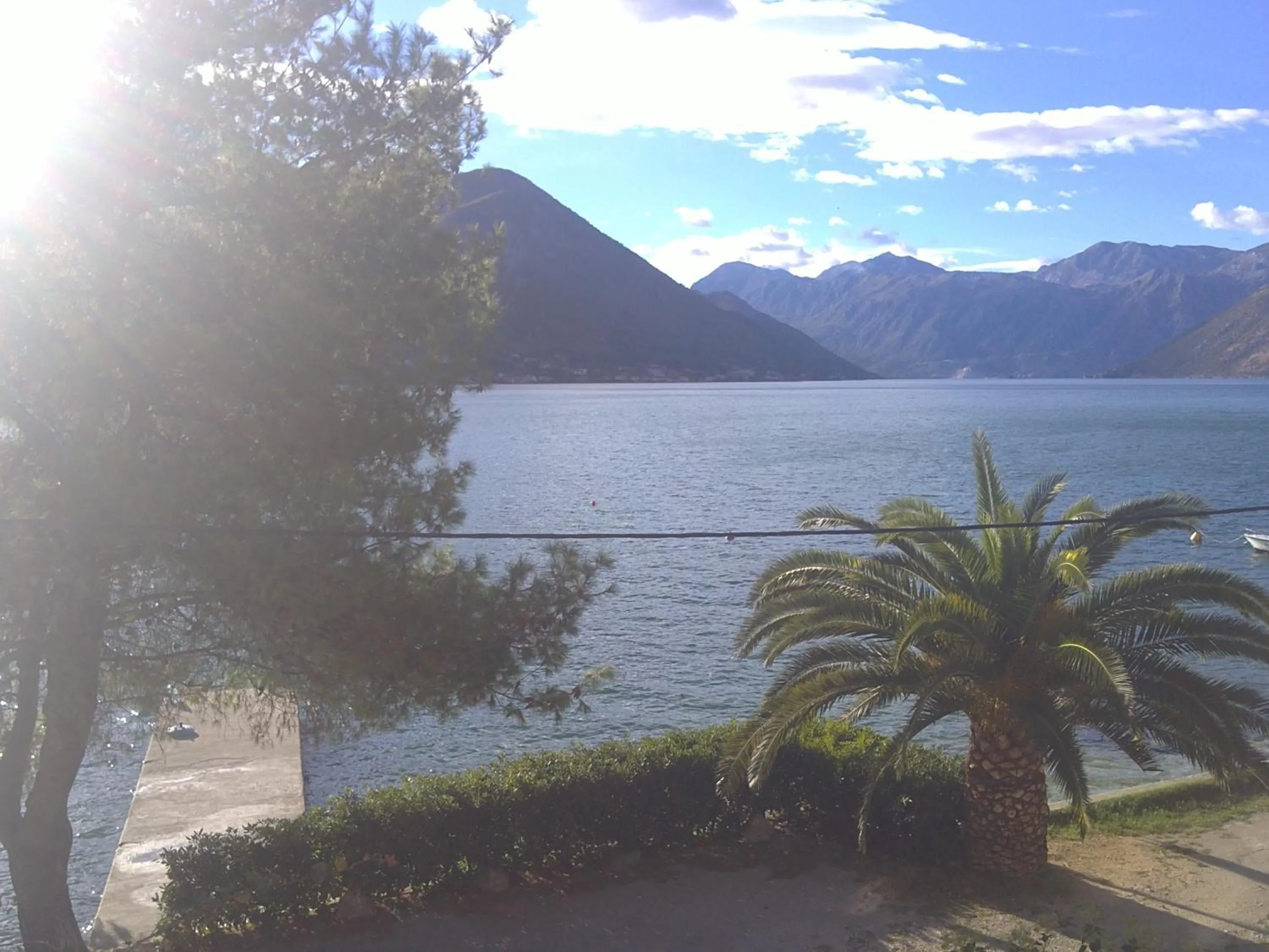 Waterfront Apartment Petrovina