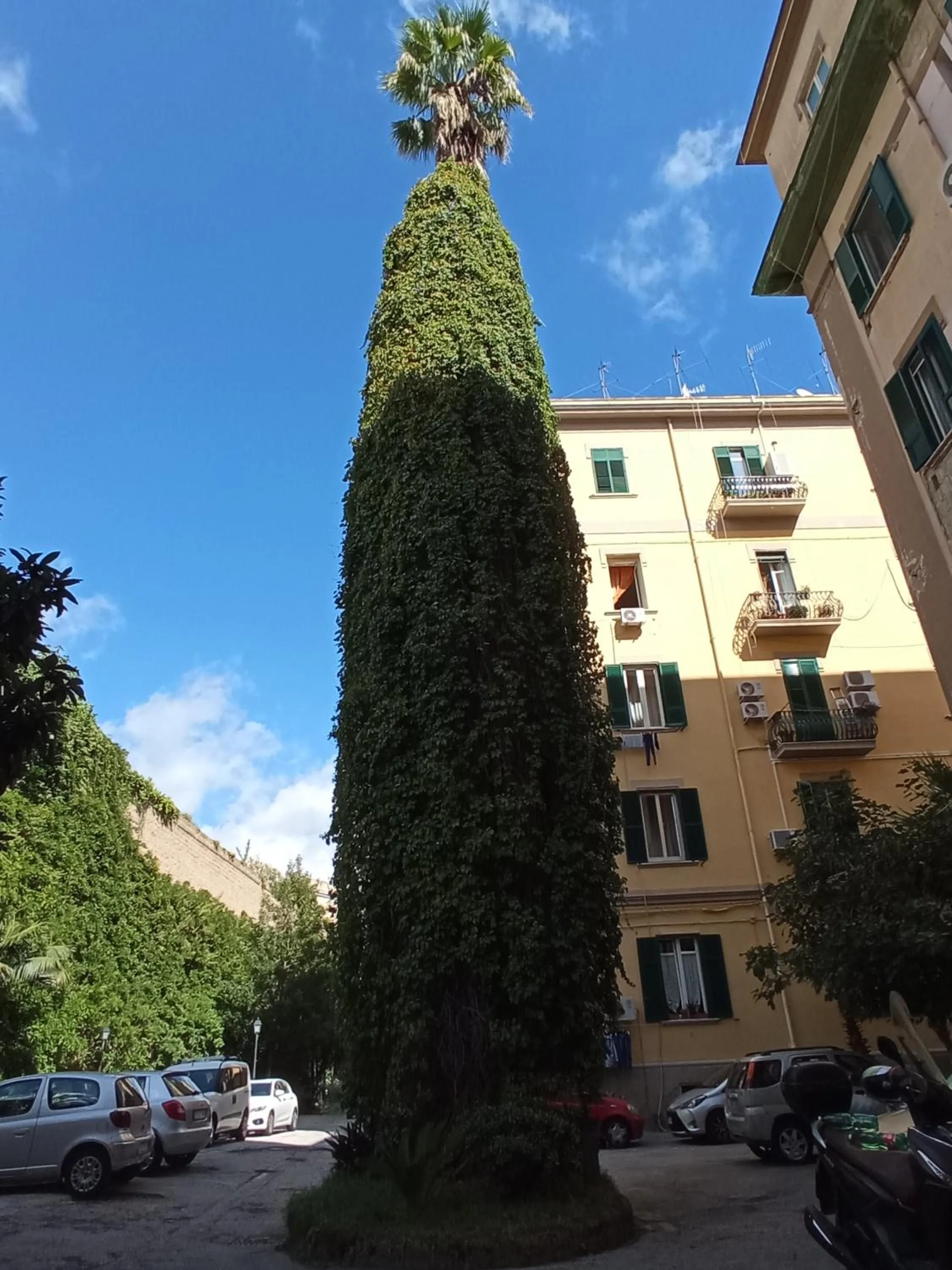 Property building in Non ci resta che Napoli