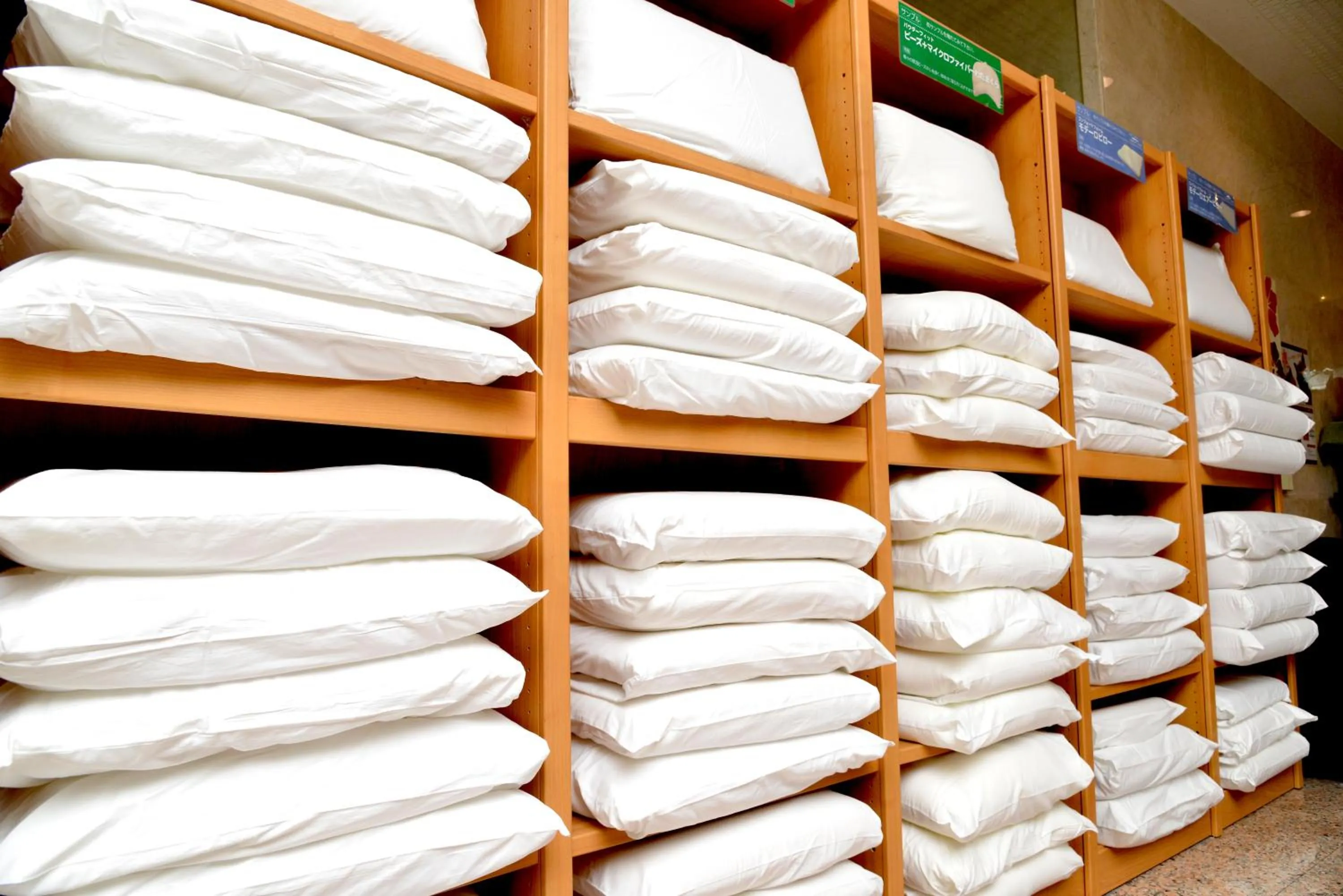 Area and facilities, Bunk Bed in Hotel Ocean