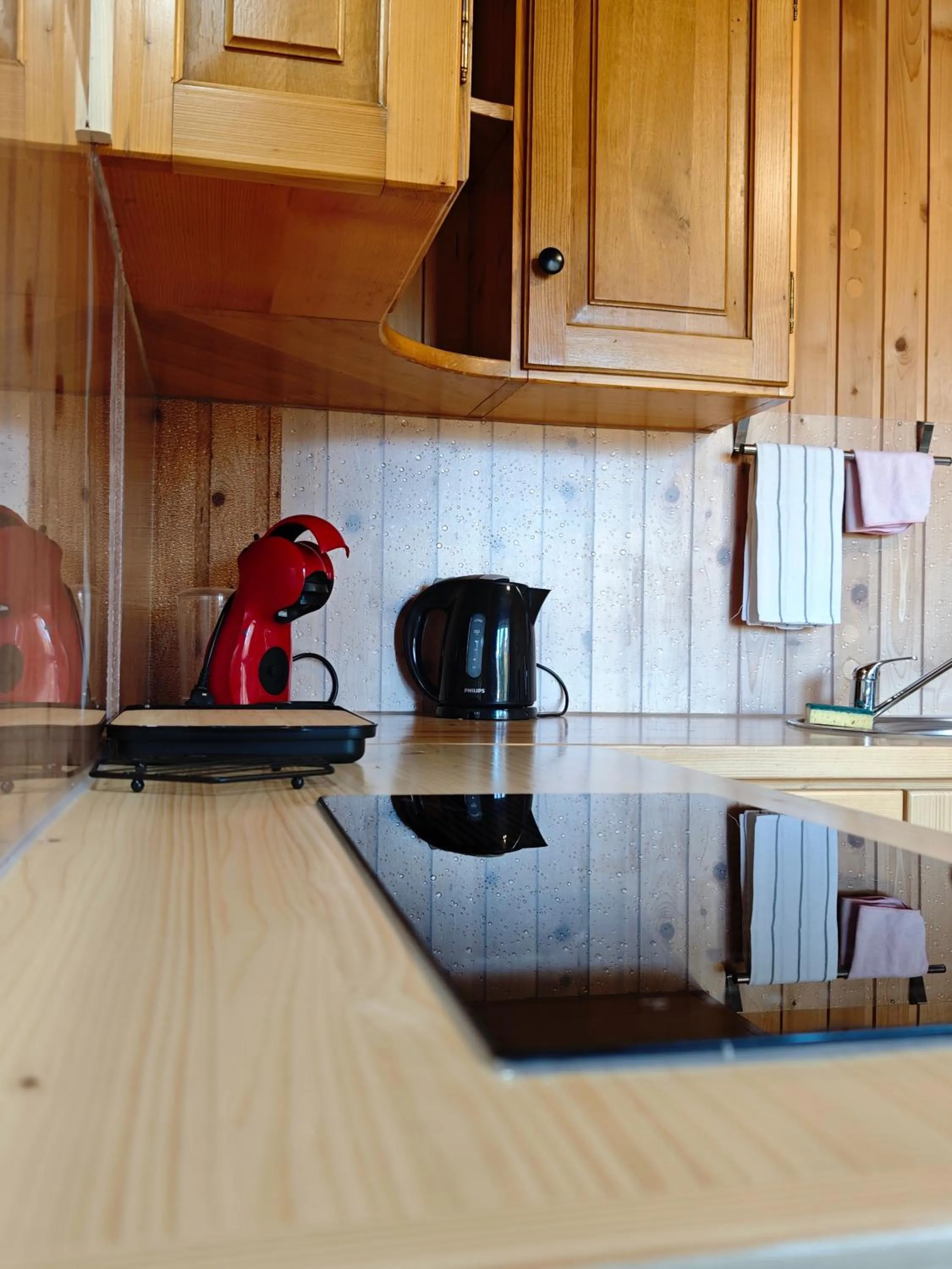 Kitchen or kitchenette in Apartamenty Sosna