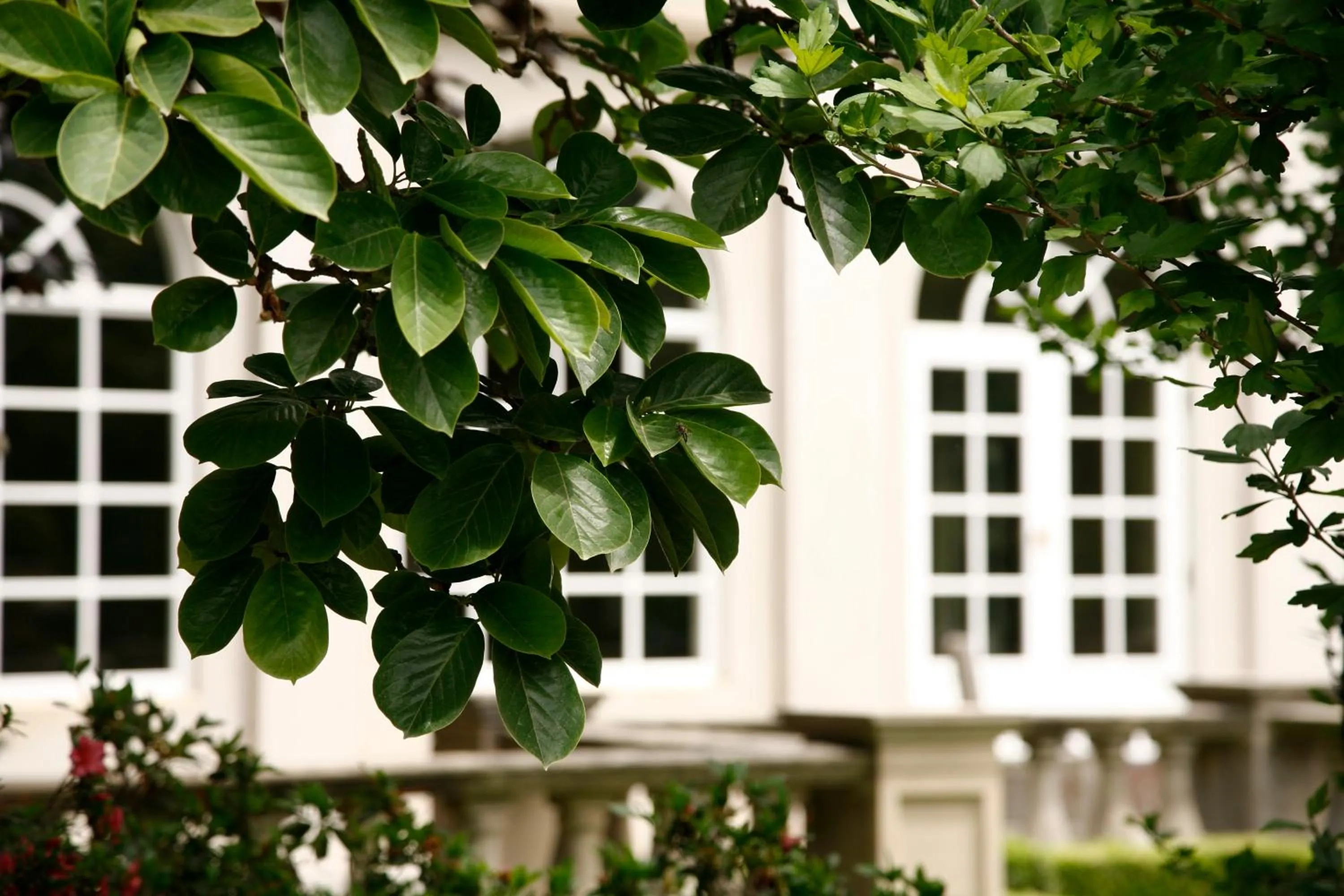 Facade/entrance in Ardour Milton Park Bowral