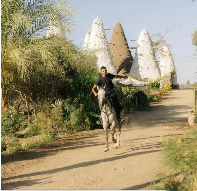Horse-riding in Al Moudira Hotel