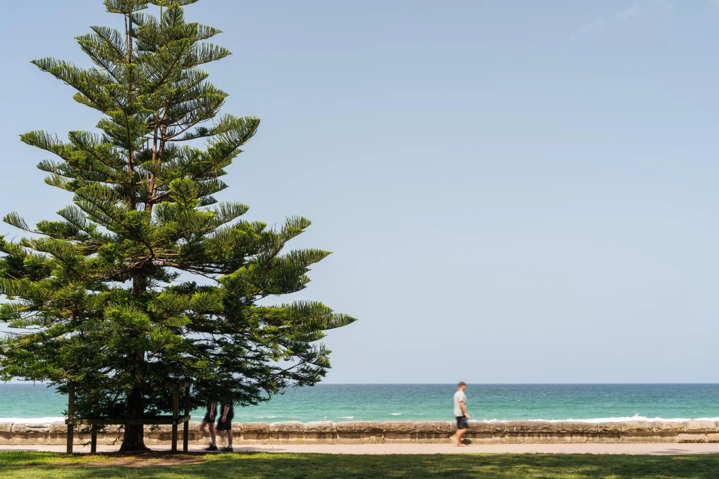 Spring in Manly Beach Guesthouse