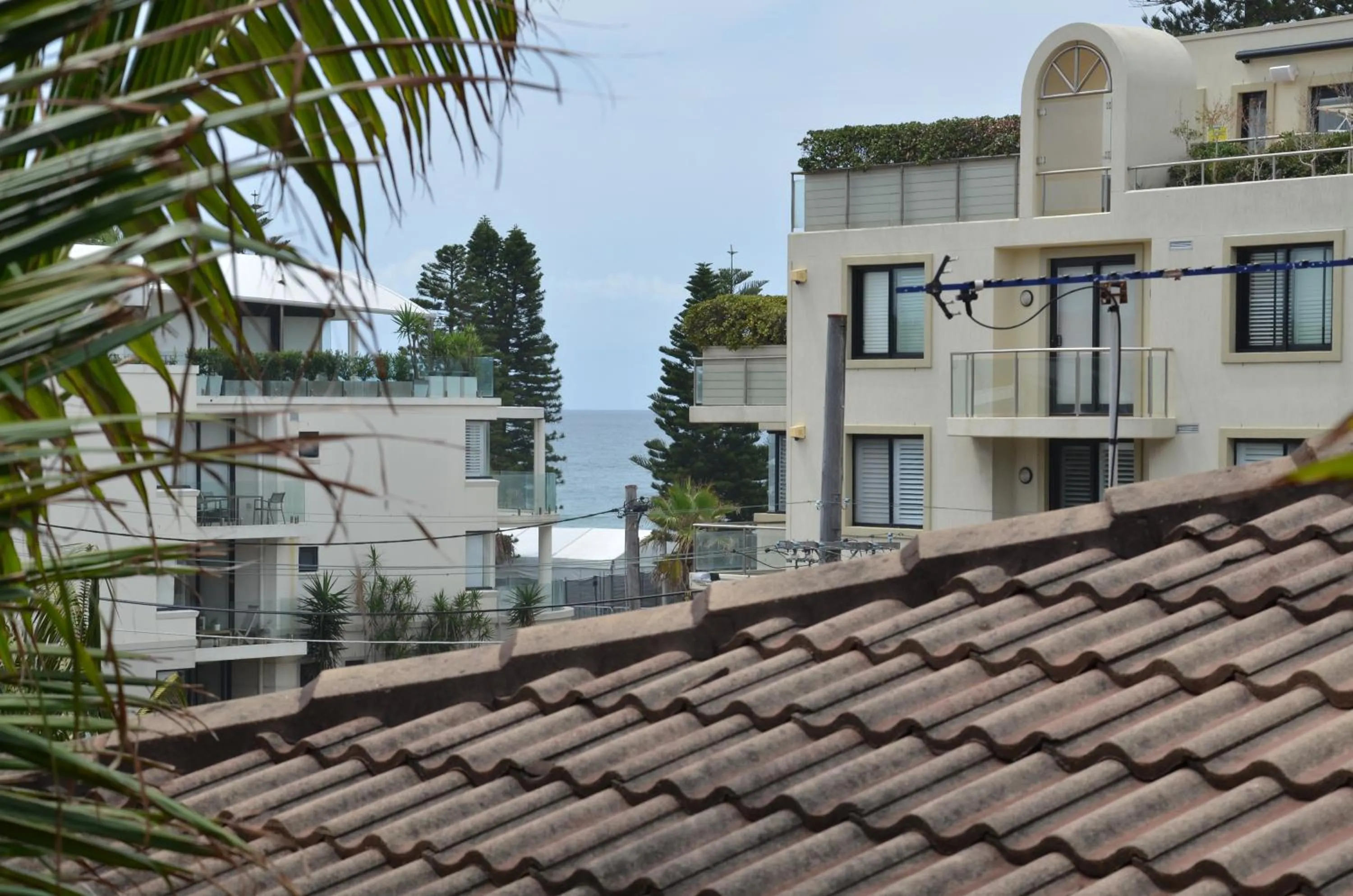 Property building in Manly Beach Guesthouse