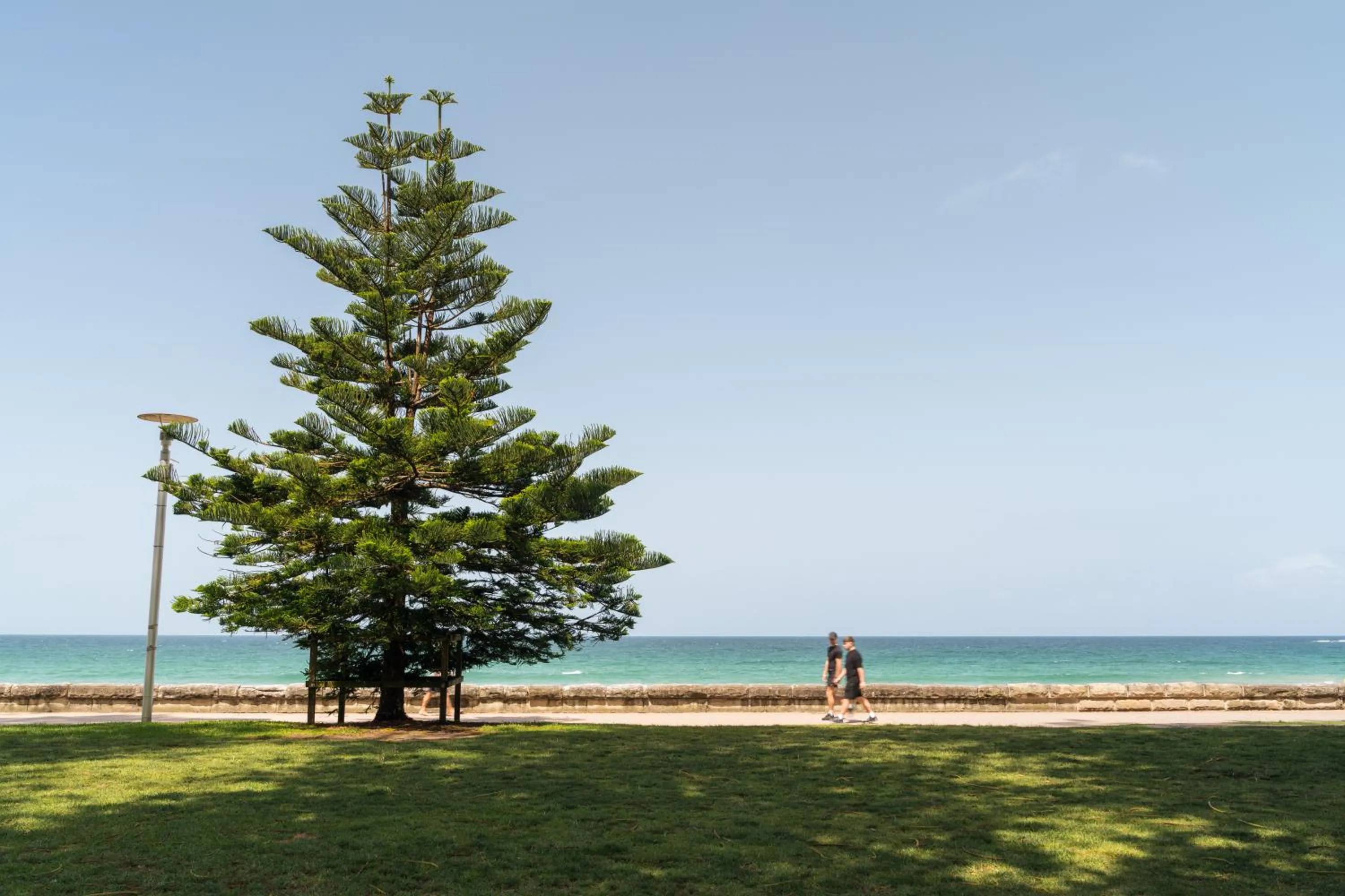 Beach in Manly Beach Guesthouse