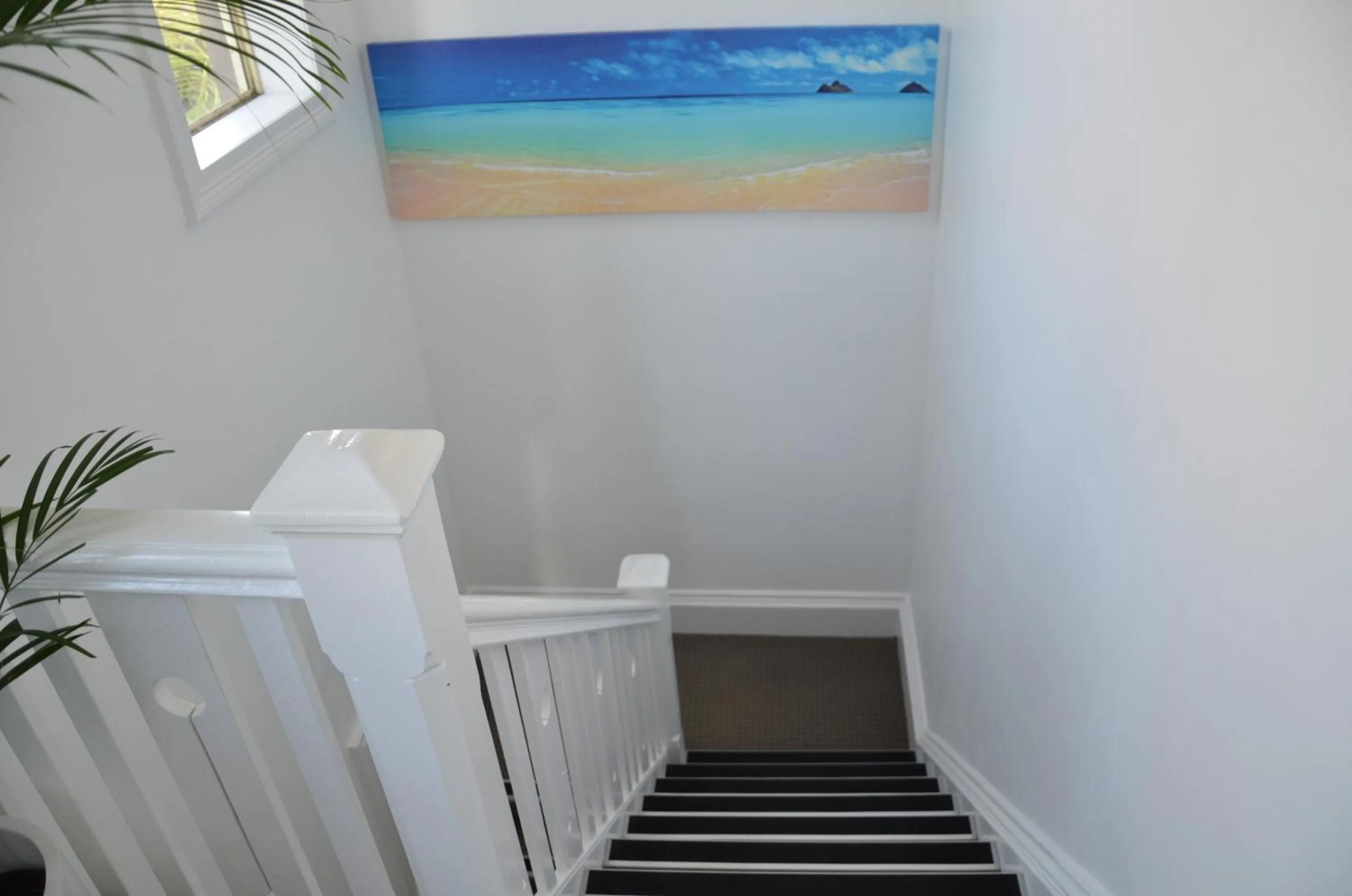 Property building in Manly Beach Guesthouse