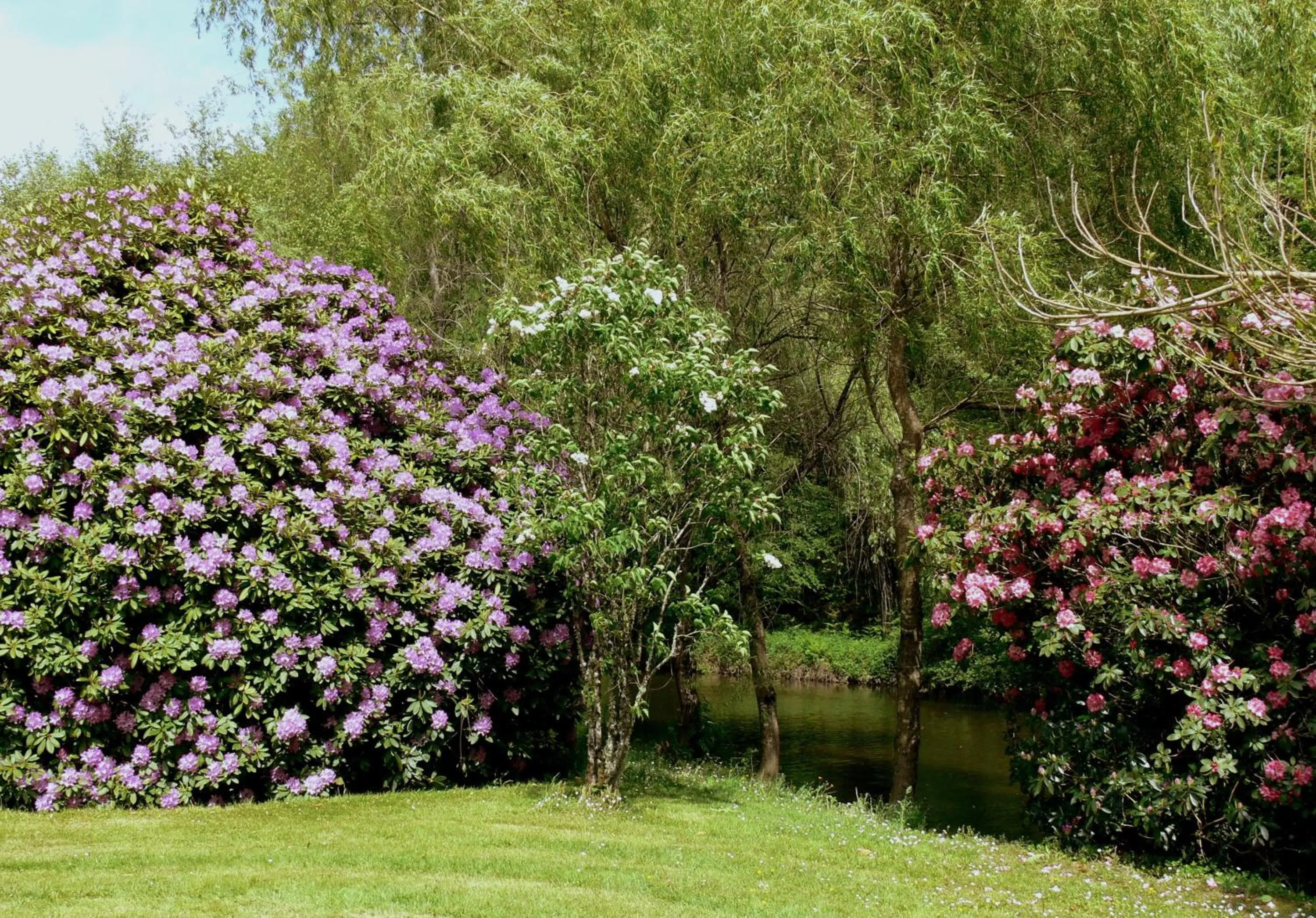 Natural landscape in Domaine de La Brugere