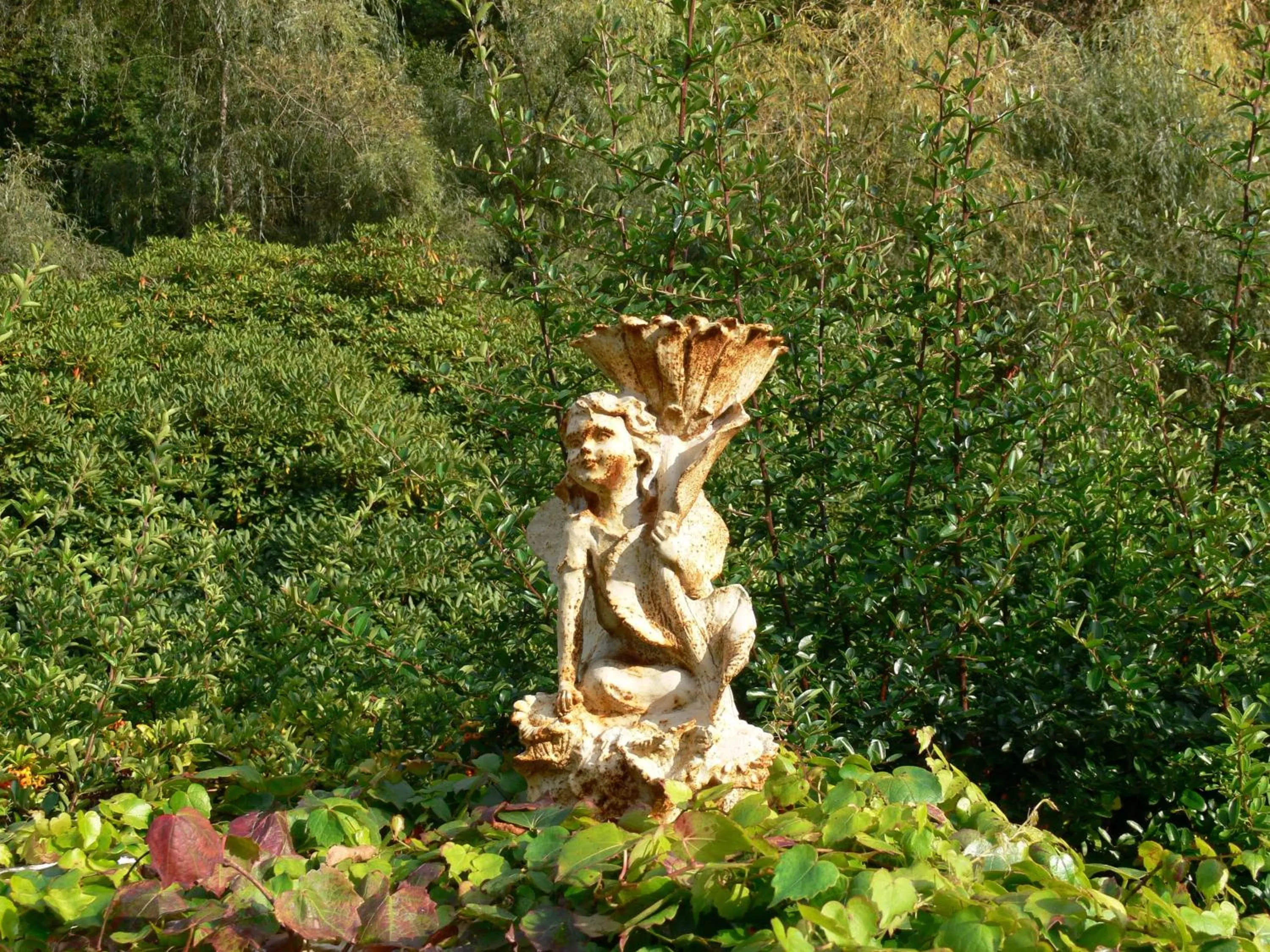 Day in Domaine de La Brugere