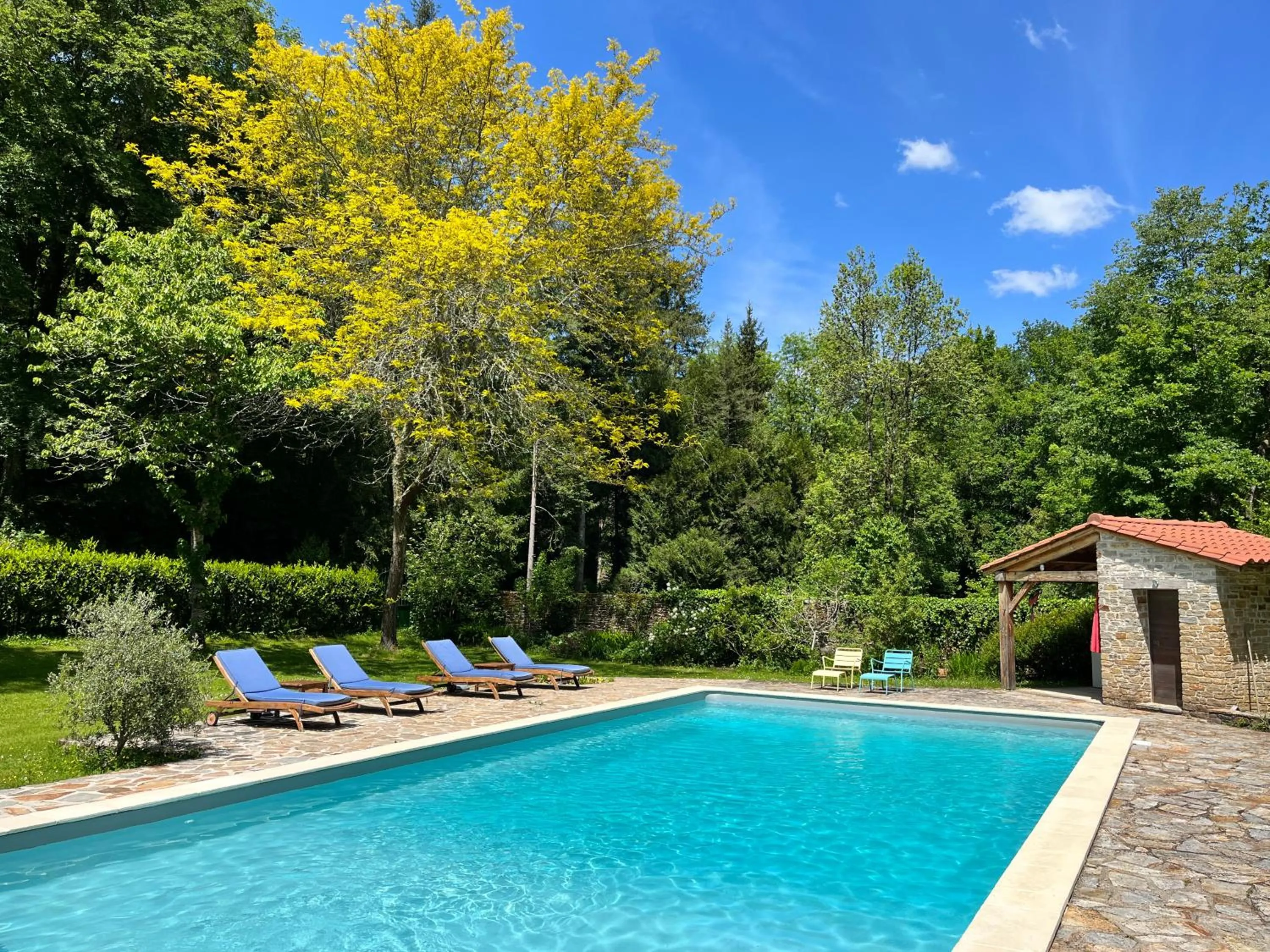 Swimming pool in Domaine de La Brugere