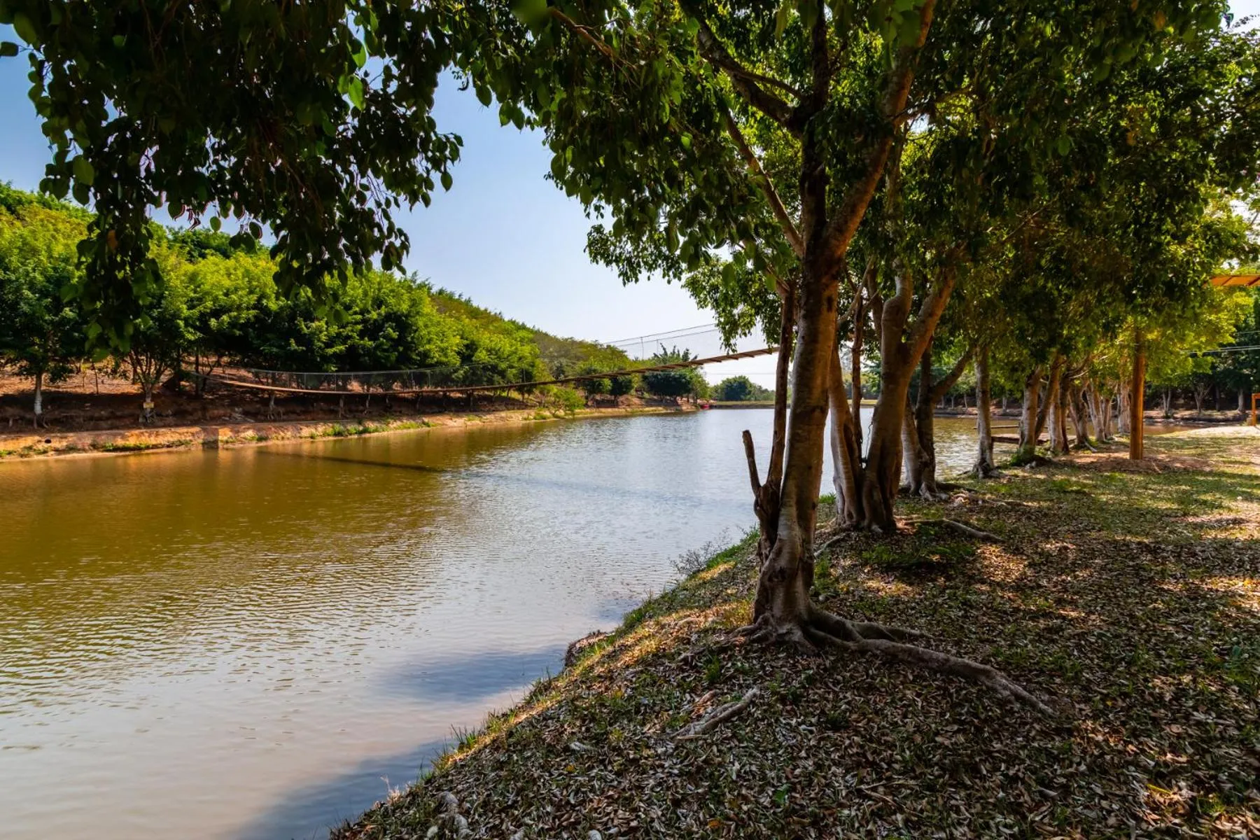Natural landscape in Hotel Fazenda Ararita