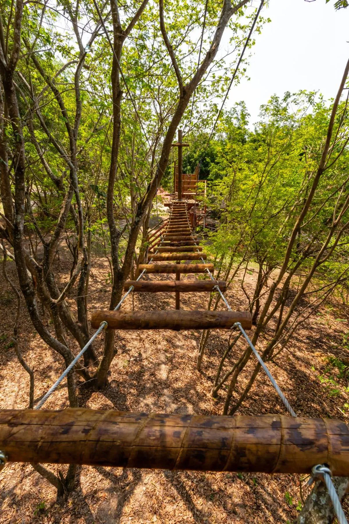 Activities in Hotel Fazenda Ararita