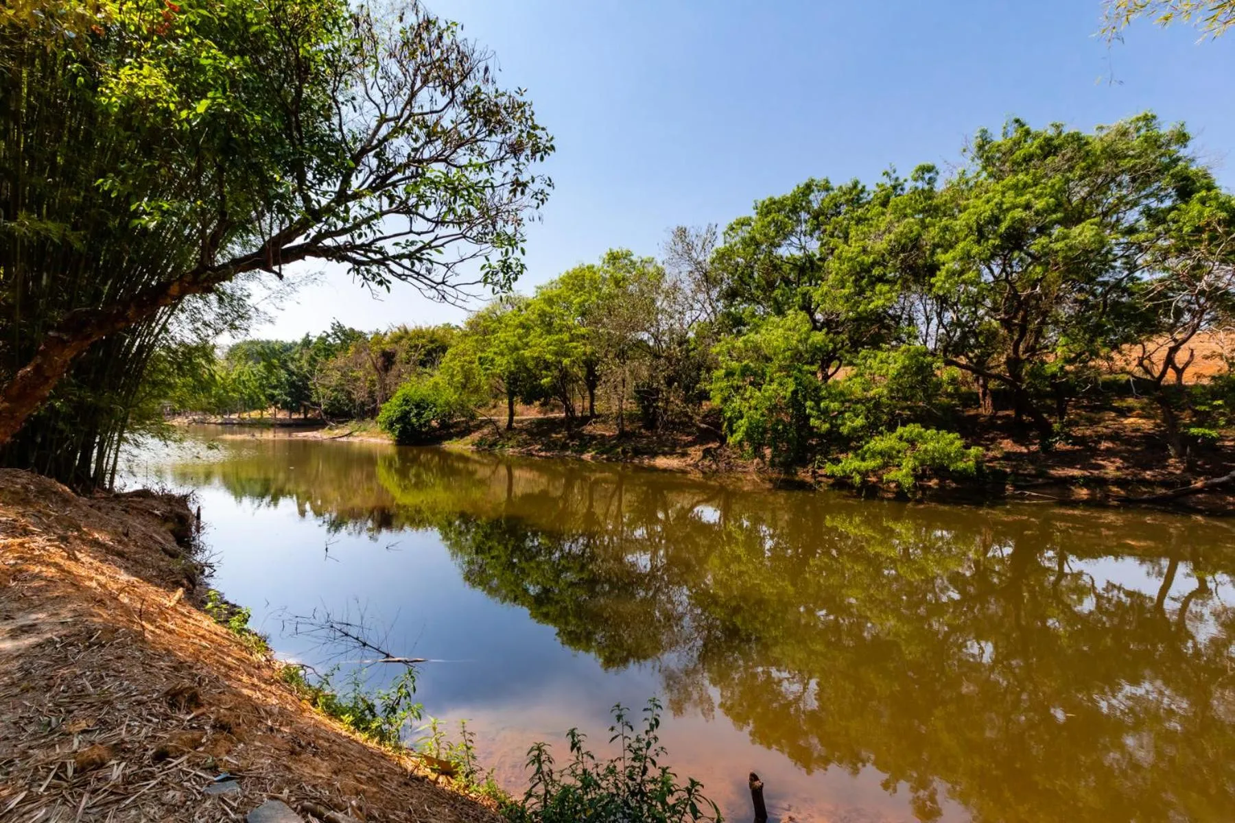 Natural landscape in Hotel Fazenda Ararita