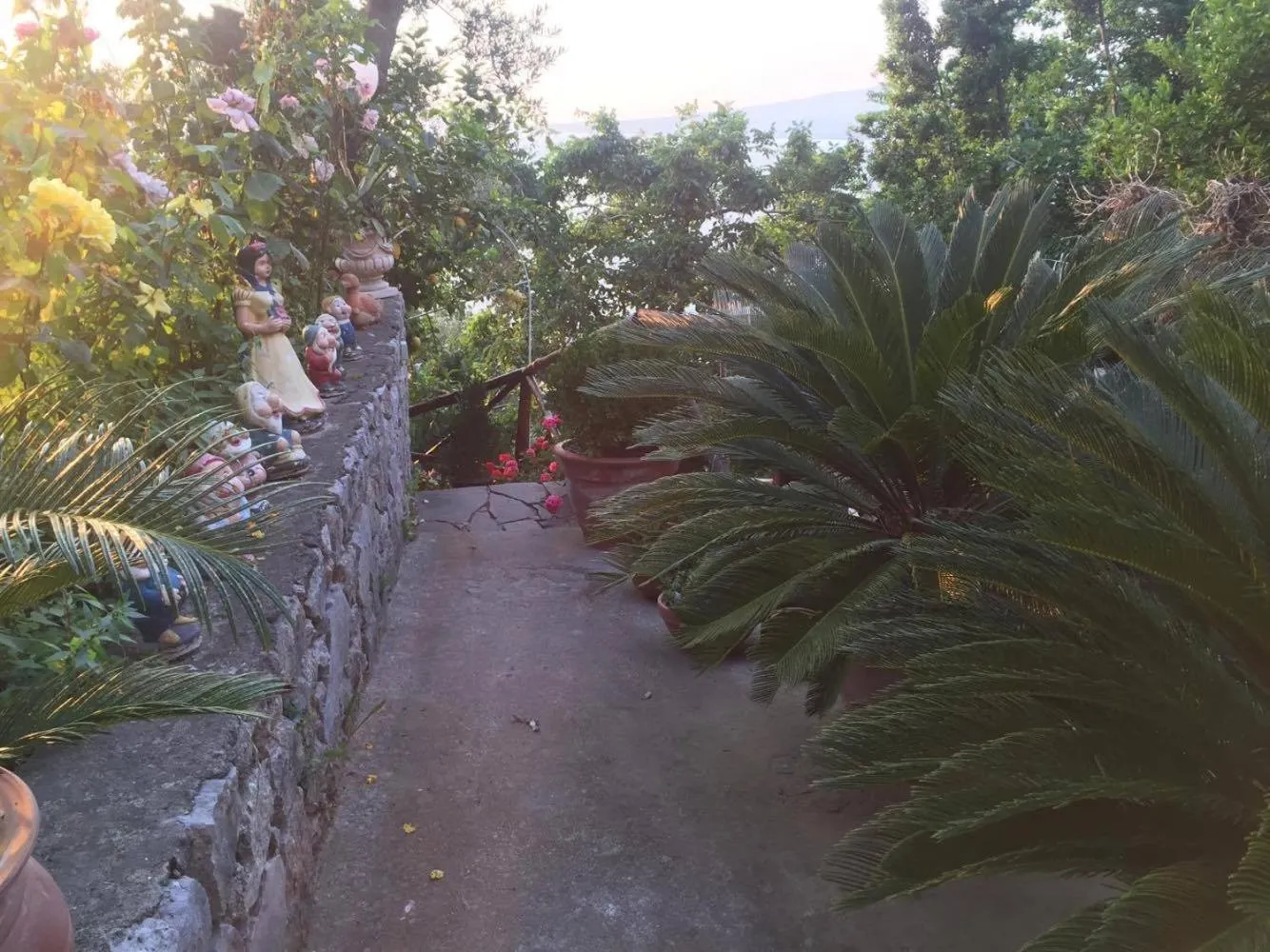 Garden in La Palombara B&B