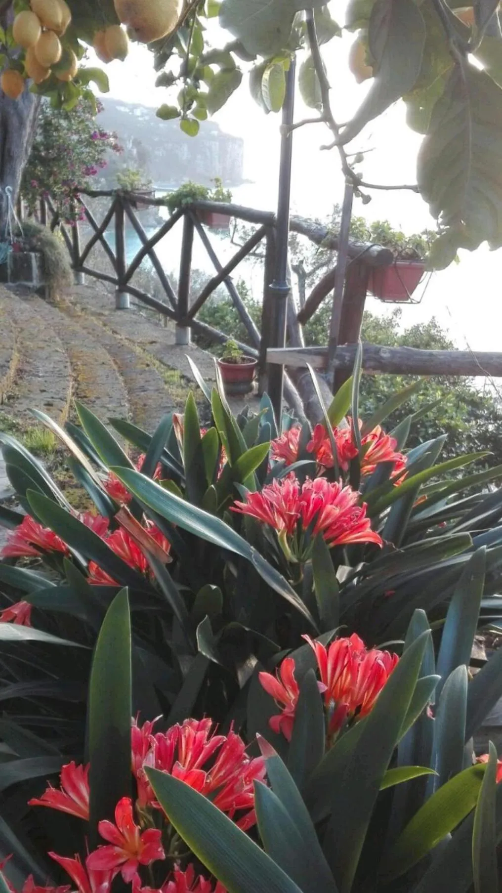 Garden in La Palombara B&B