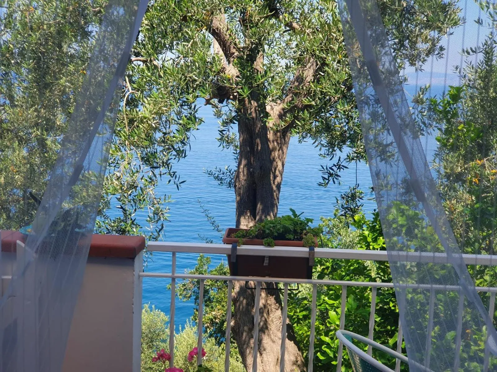 Balcony/Terrace in La Palombara B&B