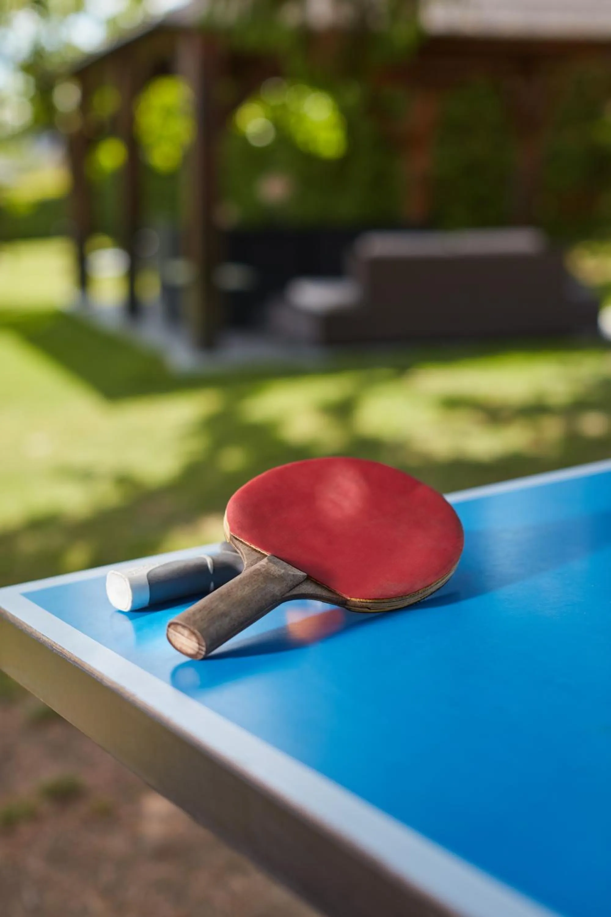 Entertainment in Hotel De La Pommeraie