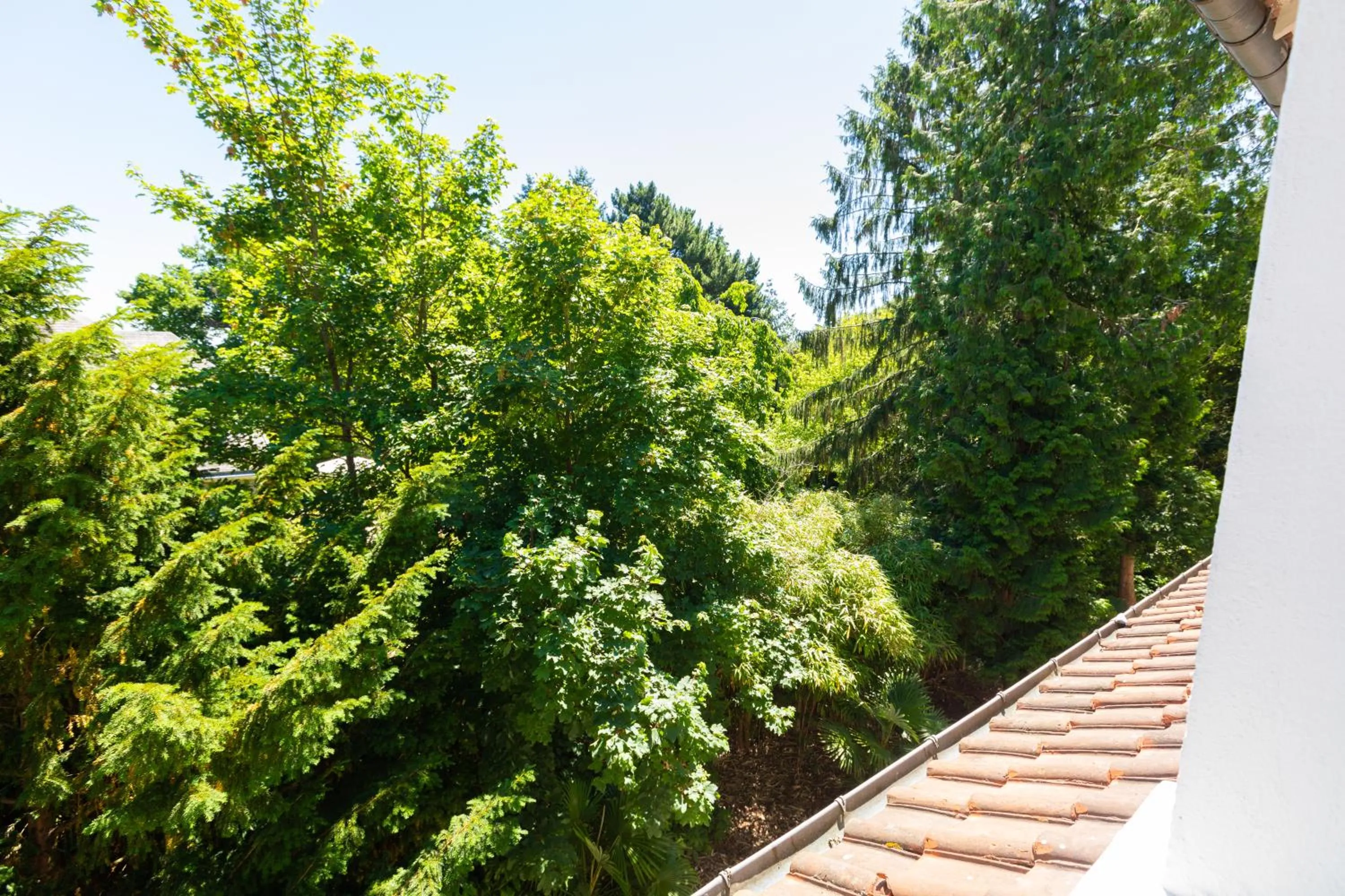 Natural landscape in Hotel De La Pommeraie