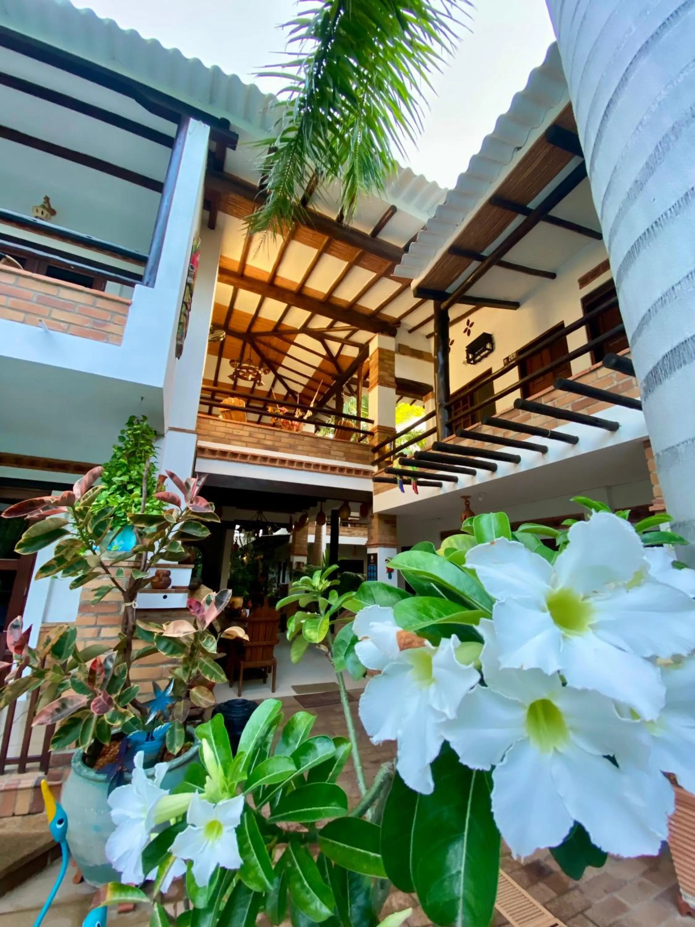 Property building in Camali Hotel