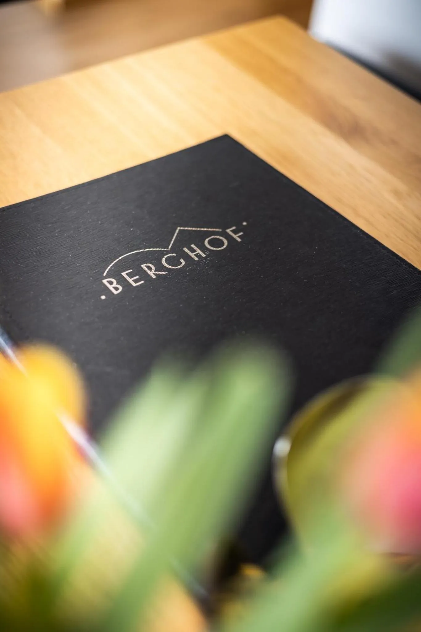 internet in Hotel Berghof