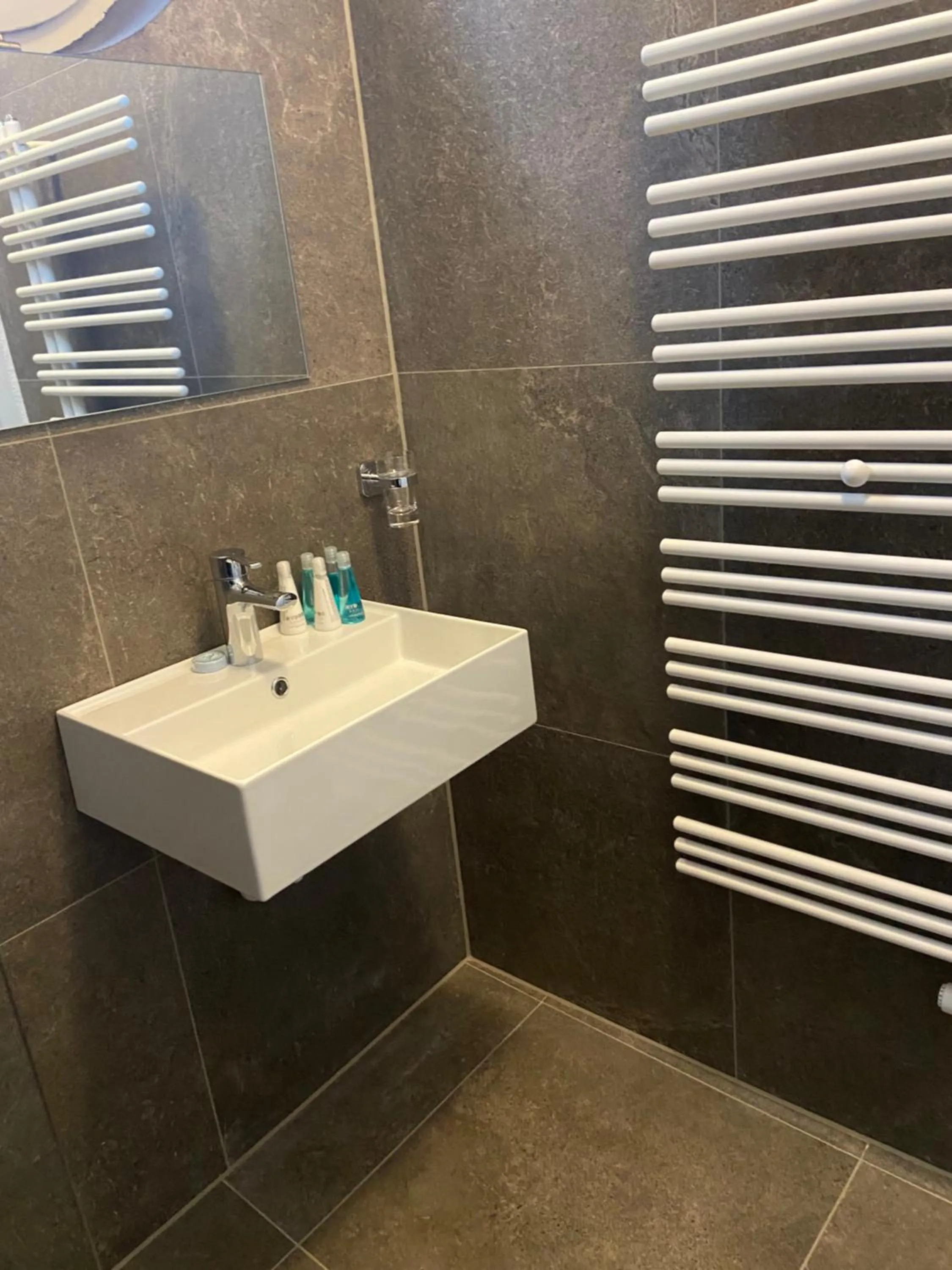 Bathroom in Hotel Berghof