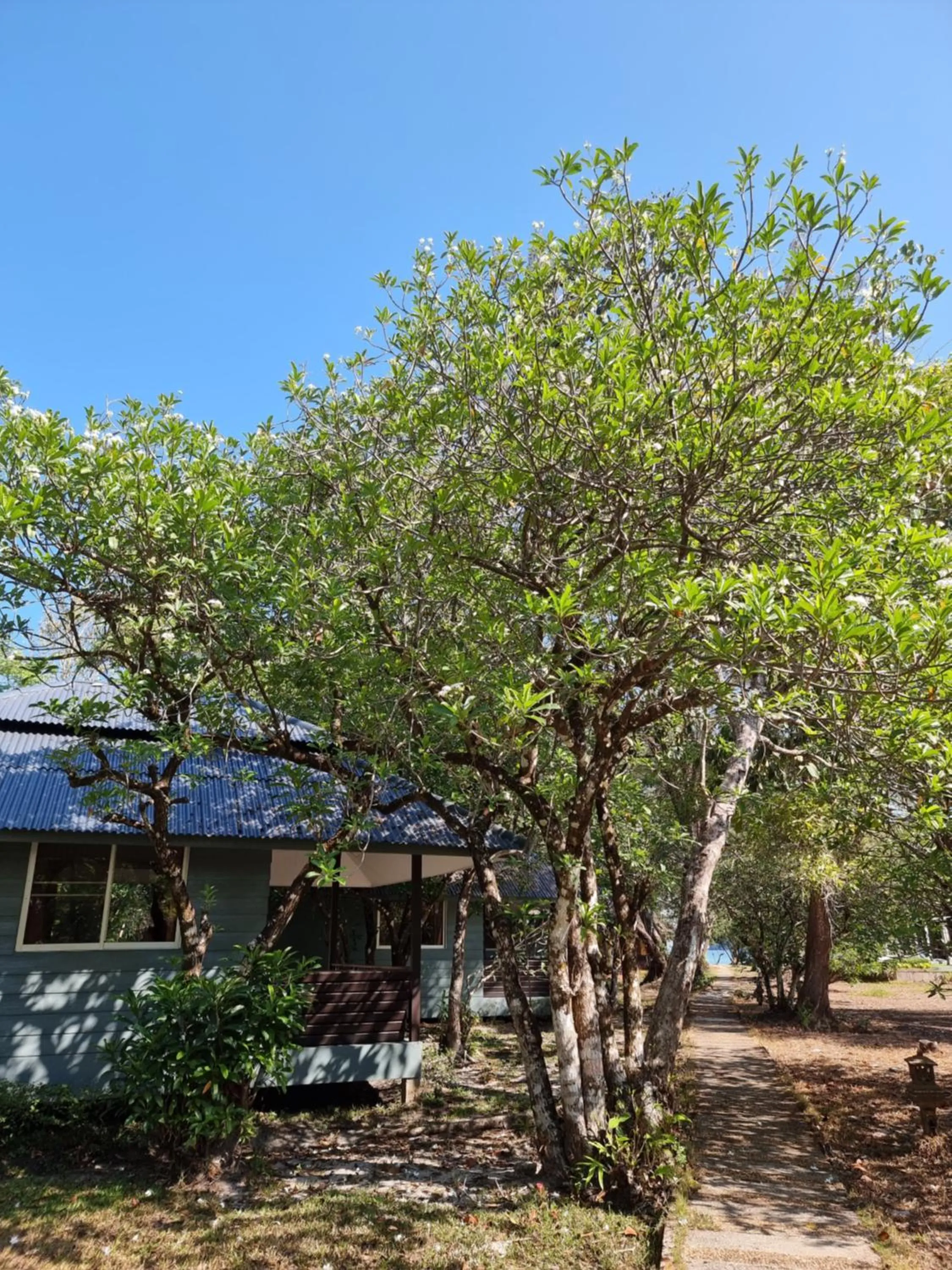 Phayam Cottage Resort