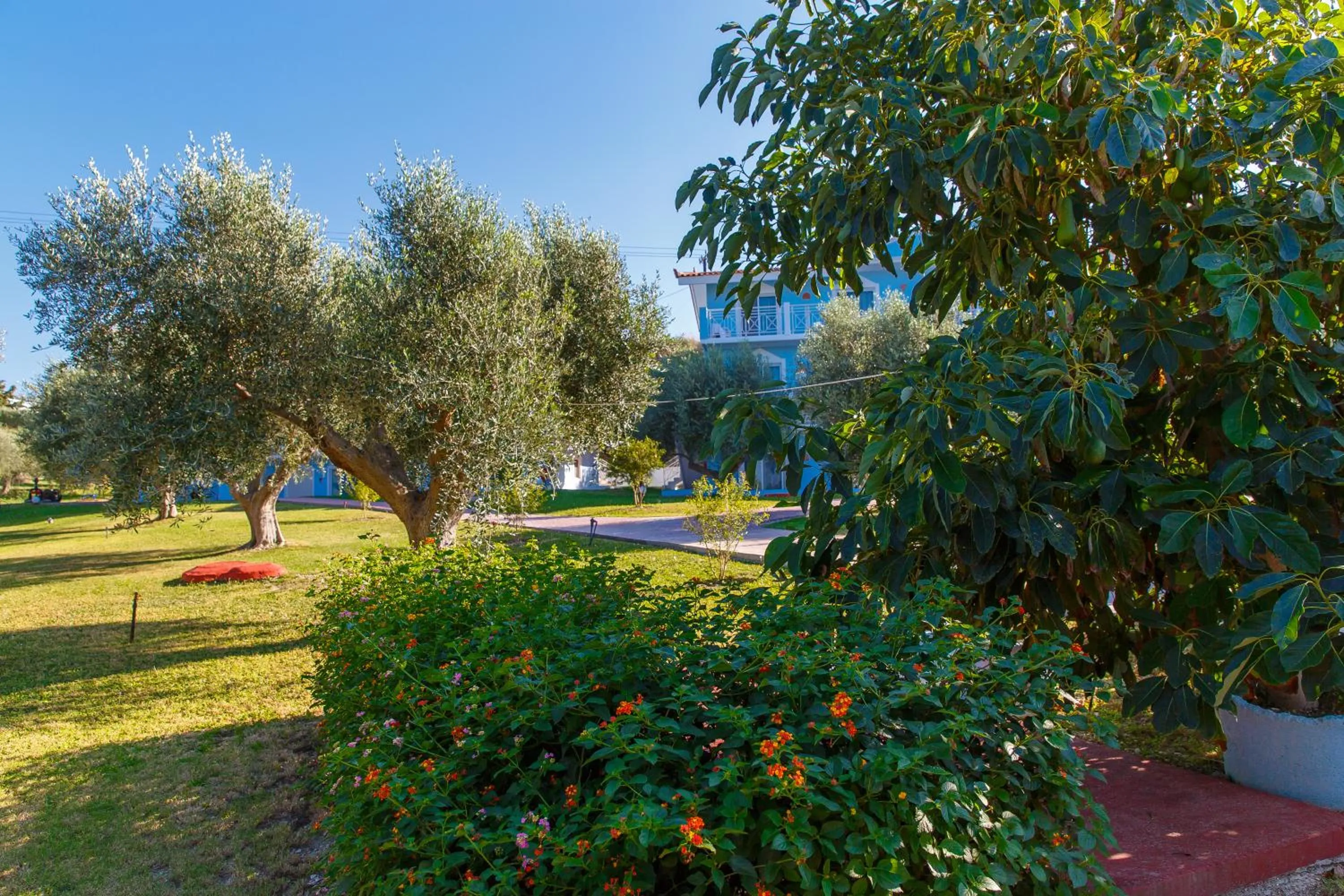 Garden in Filoxenia Apartments & Studios