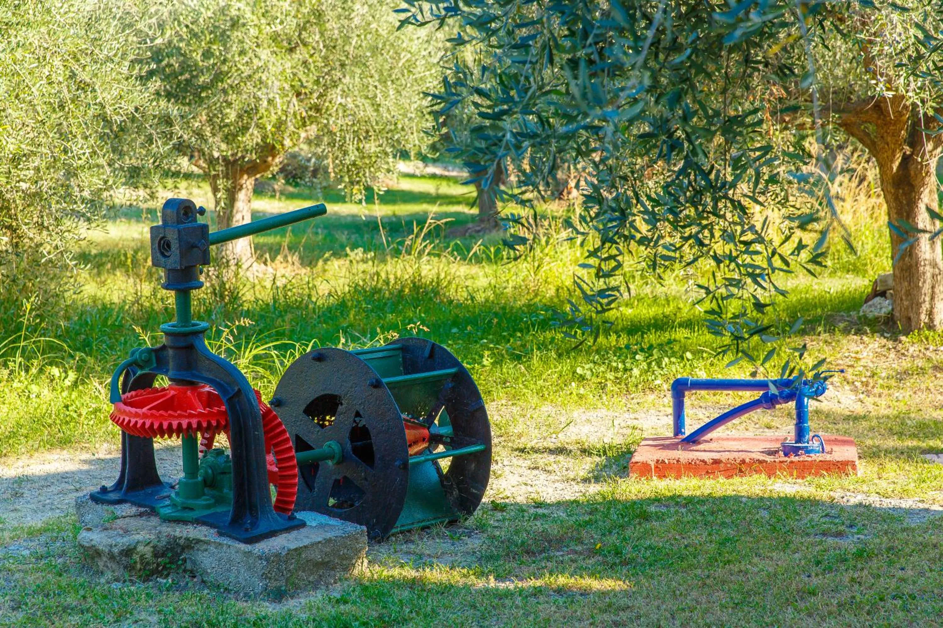 Garden in Filoxenia Apartments & Studios