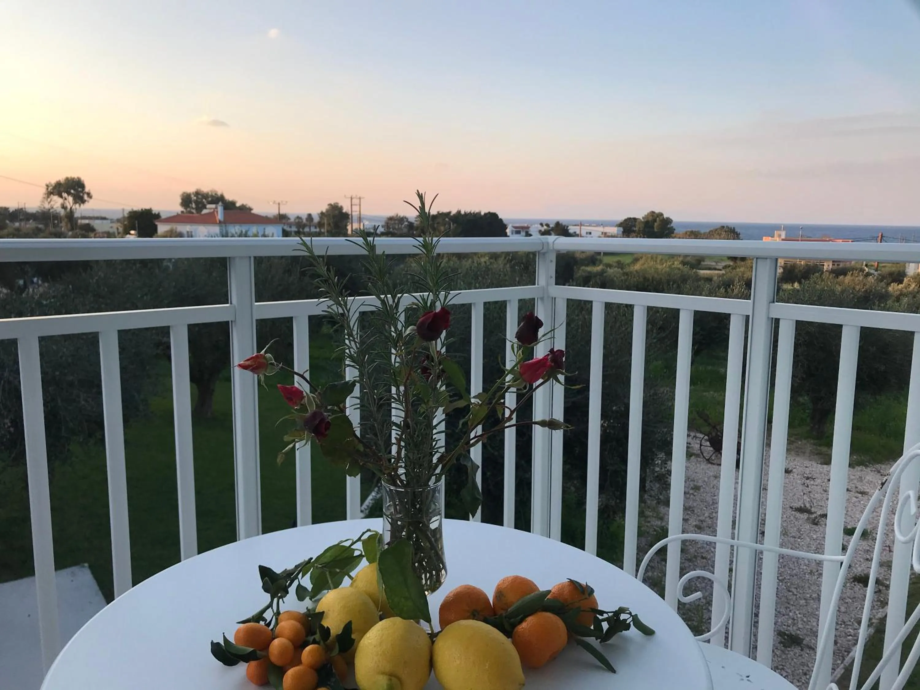Balcony/Terrace in Filoxenia Apartments & Studios