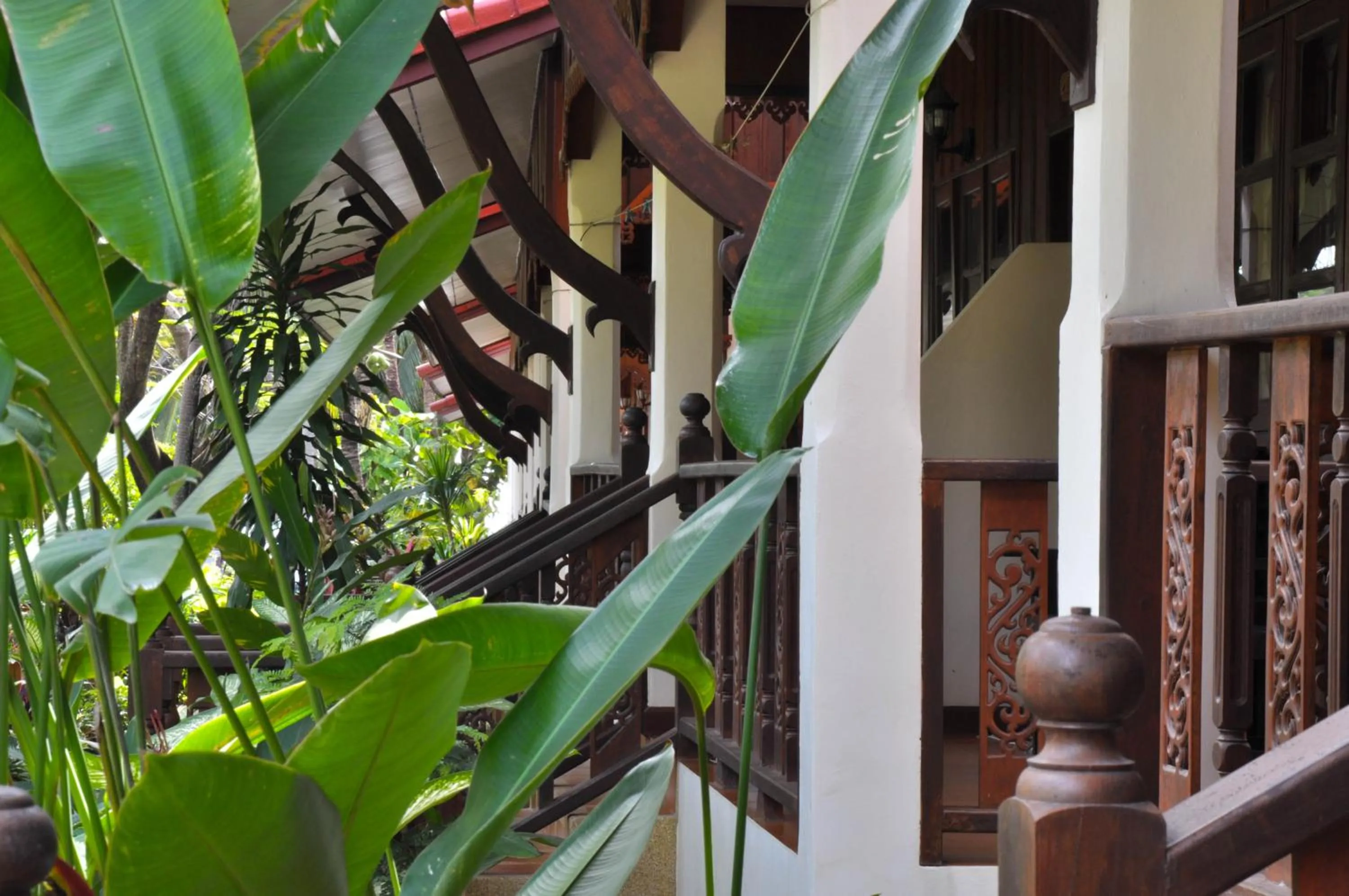 Mira Mare Resort Koh Samui