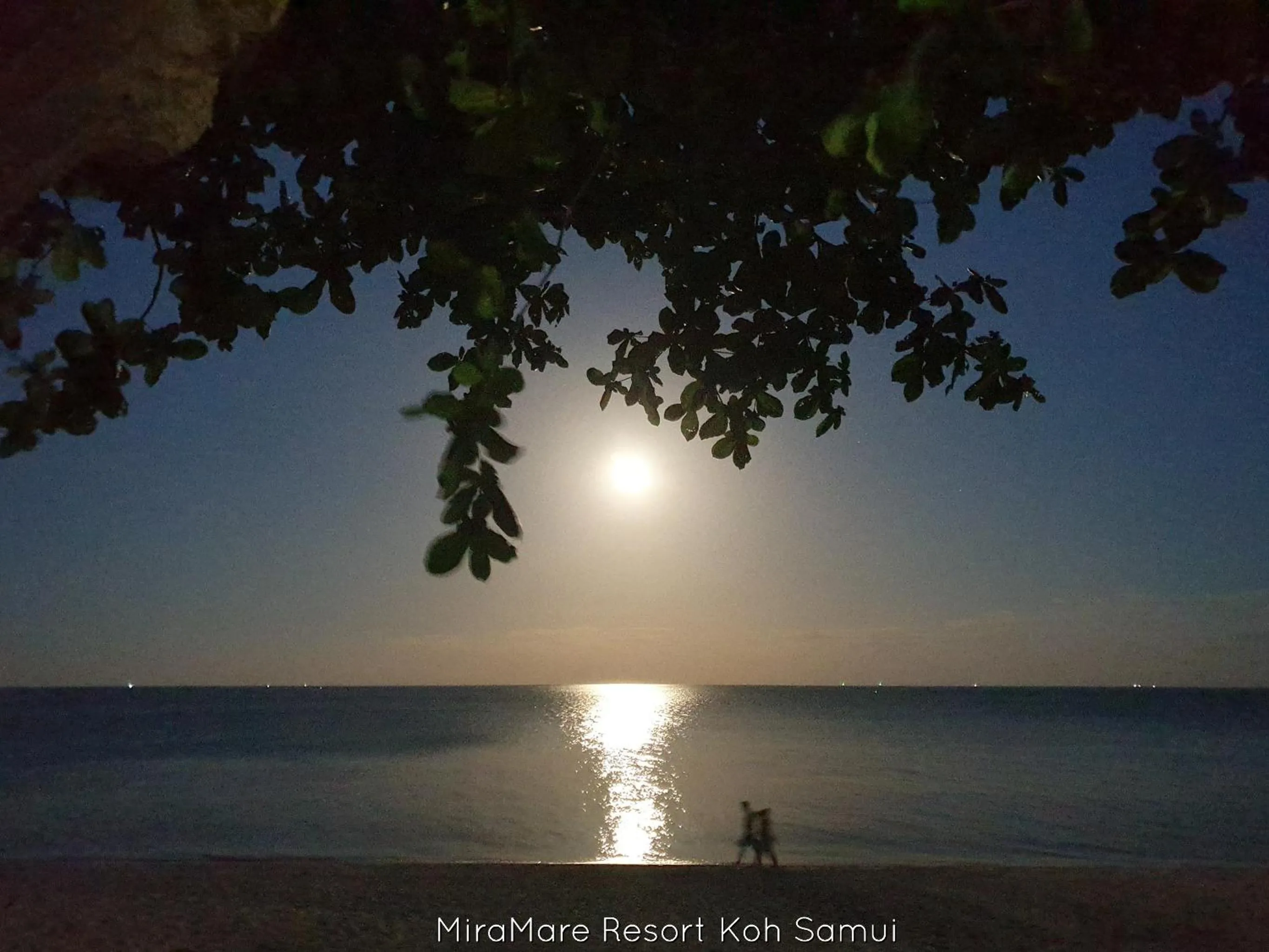 Mira Mare Resort Koh Samui