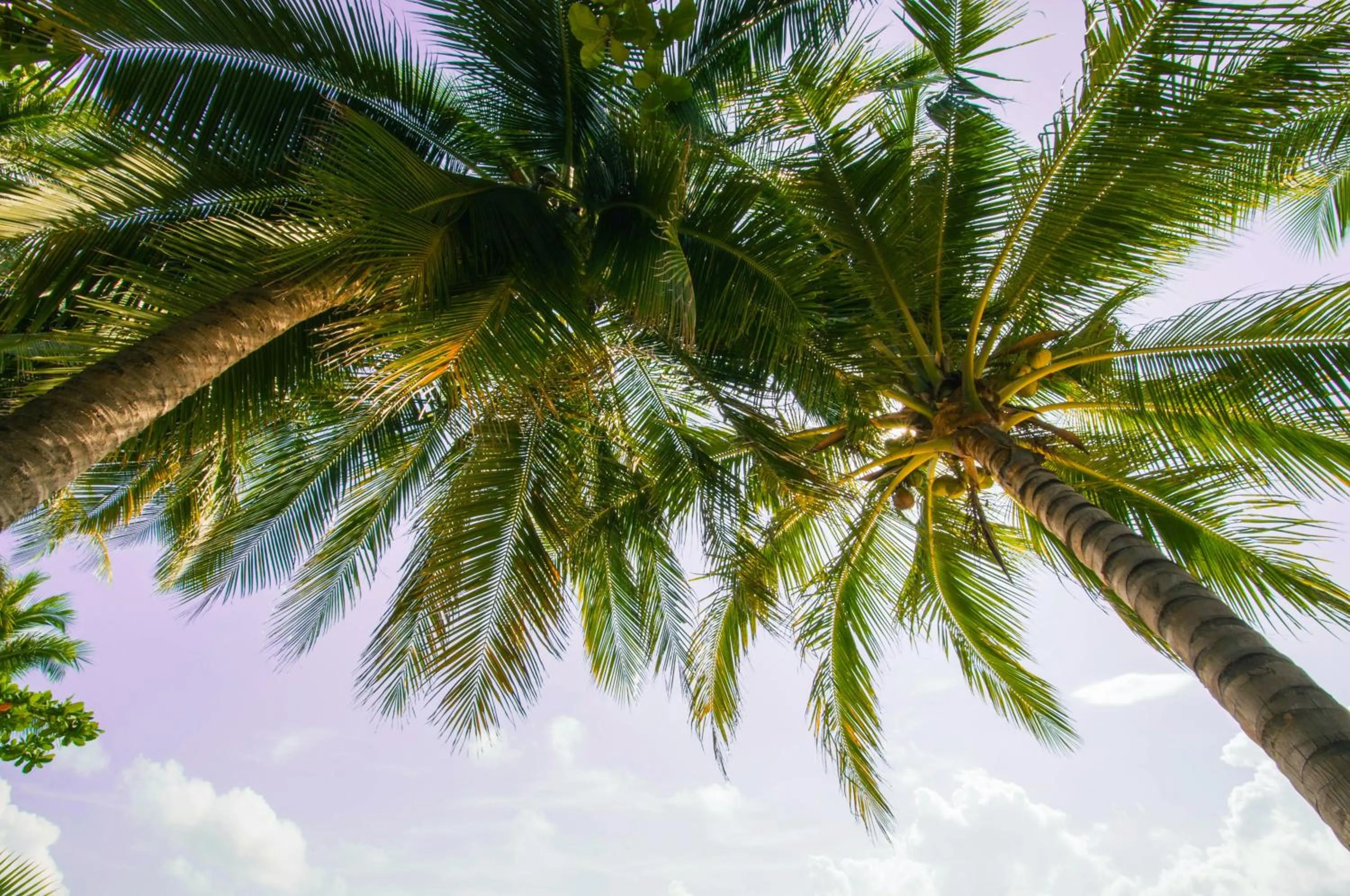 Mira Mare Resort Koh Samui