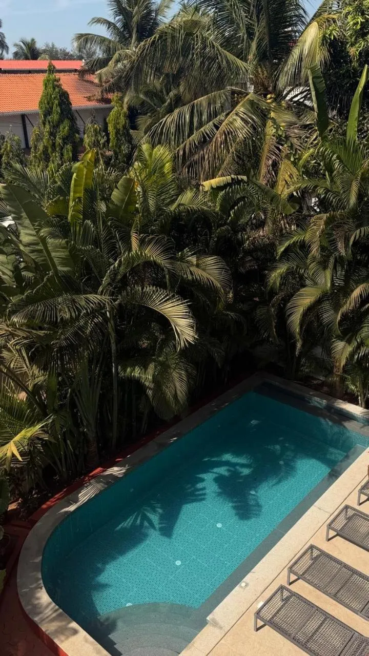 Swimming pool in Tridiva Morjim 150 Meters to Morjim Beach