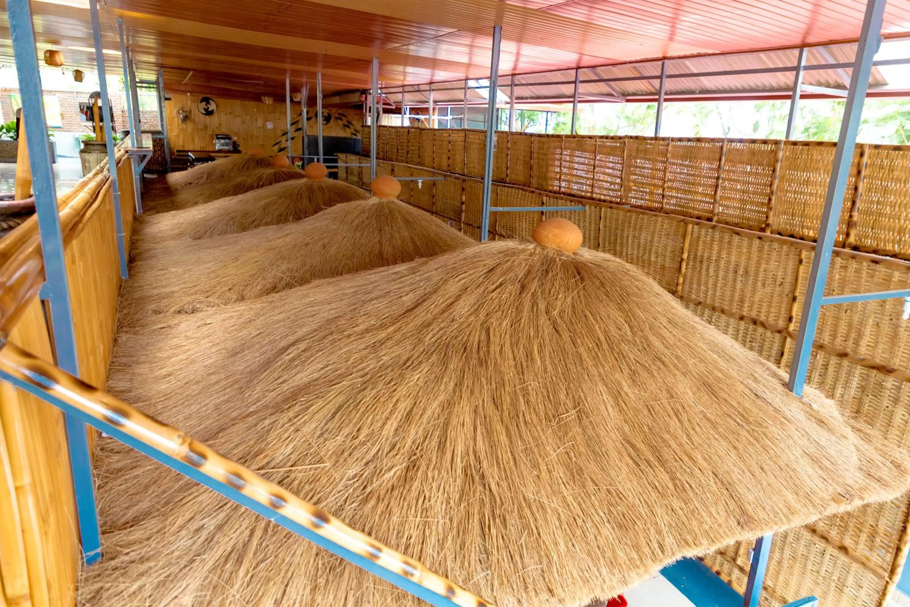 B.Maurice Guest House