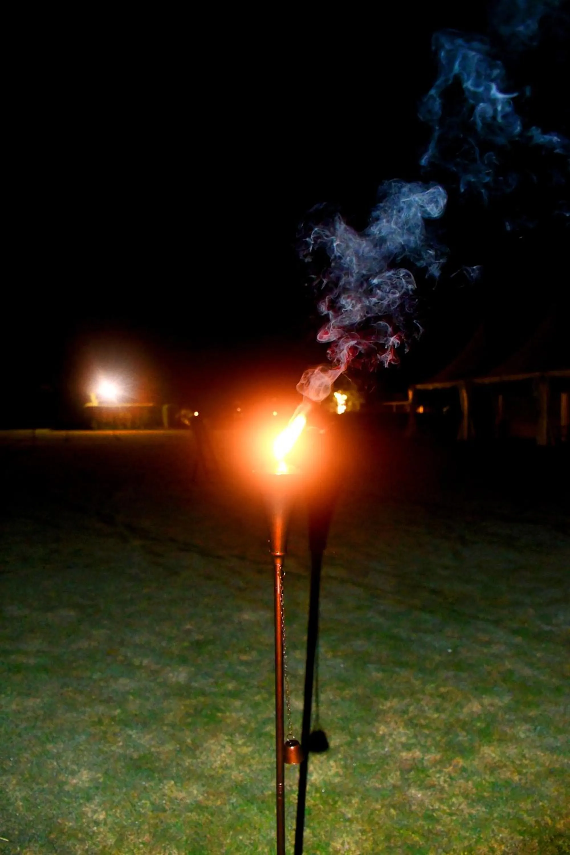 Garden in Amatra By The Ganges