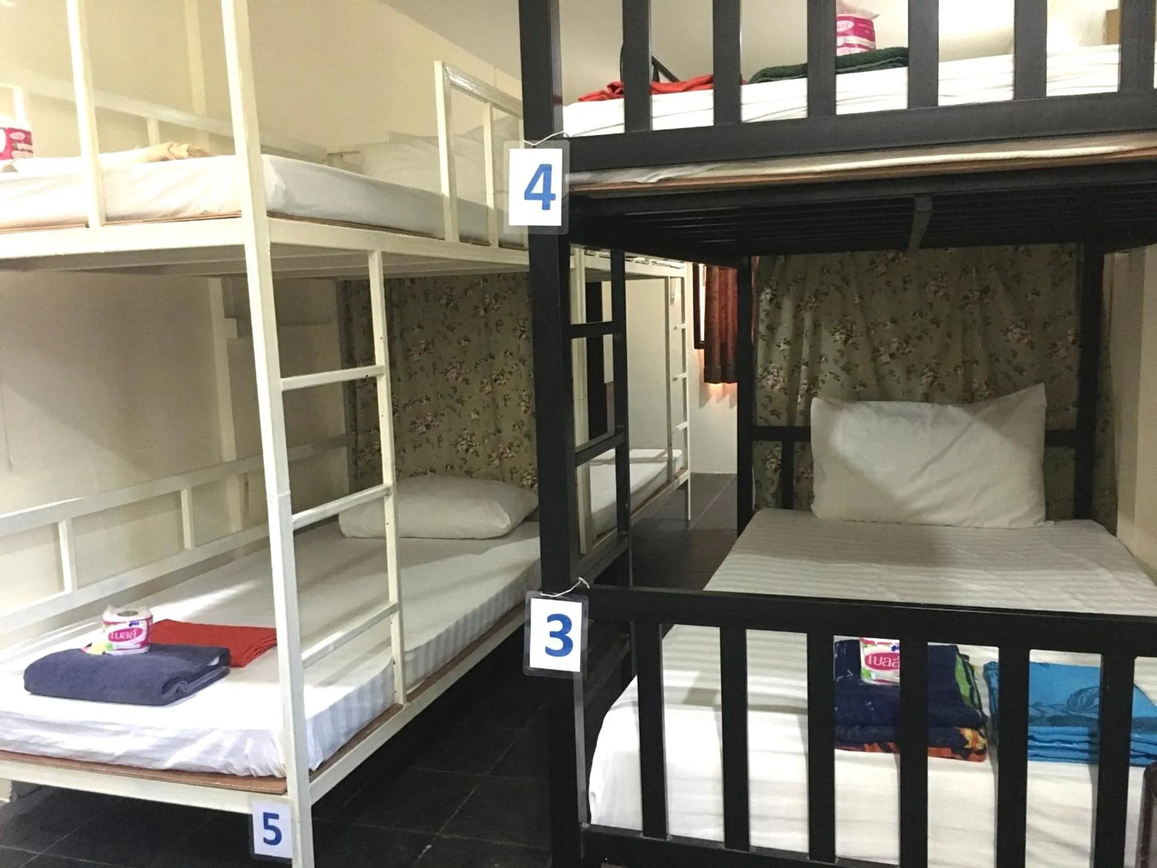 bunk bed, Bed in Golden Bee PhiPhi