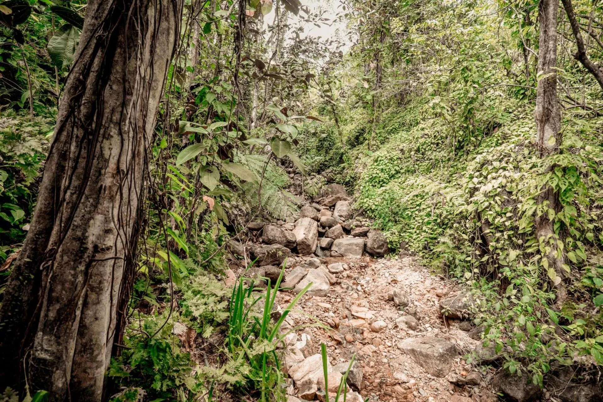 Day in Arsulana Eco Lodge & Spa