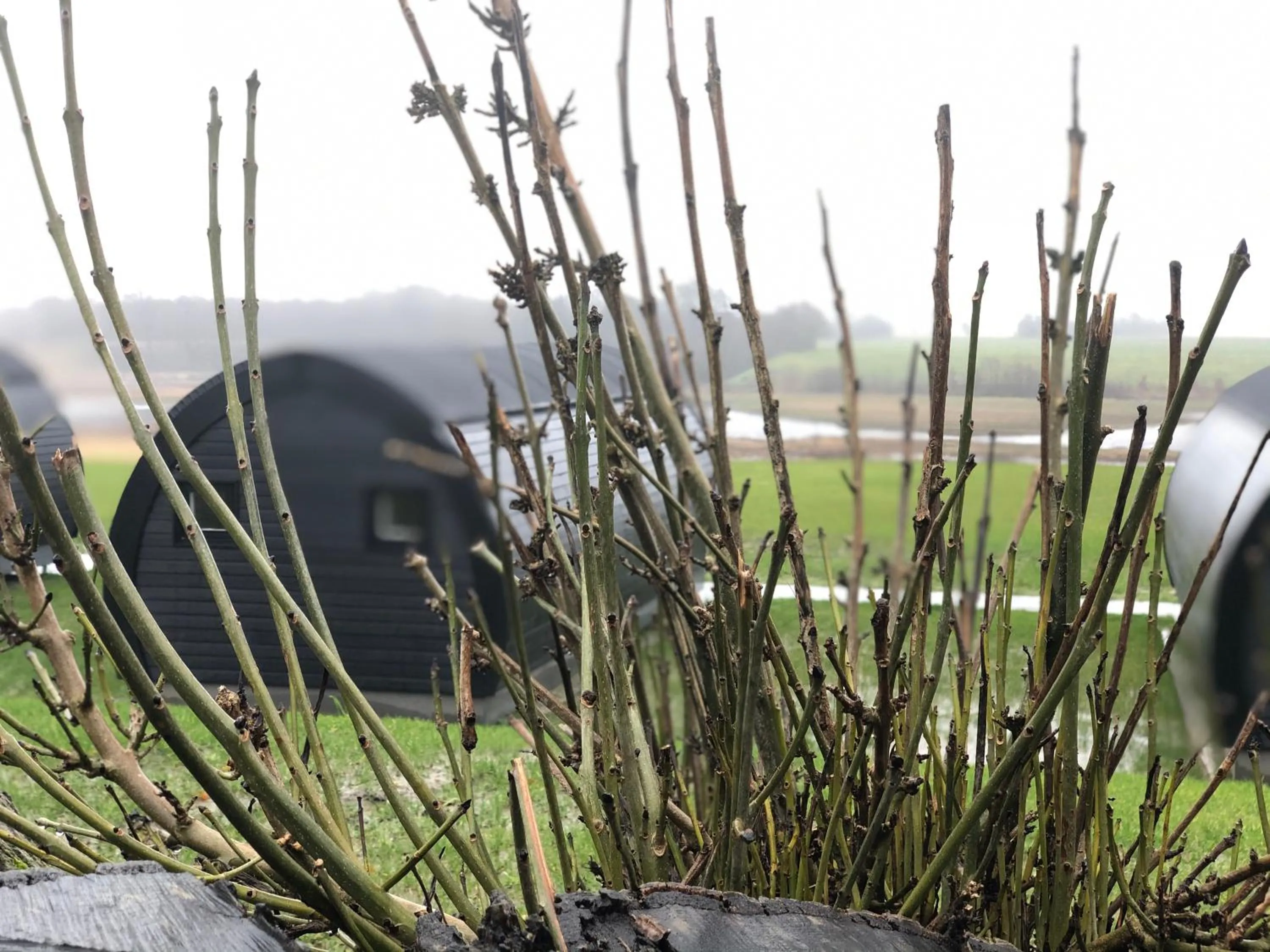 Natural landscape in Hodde Kro