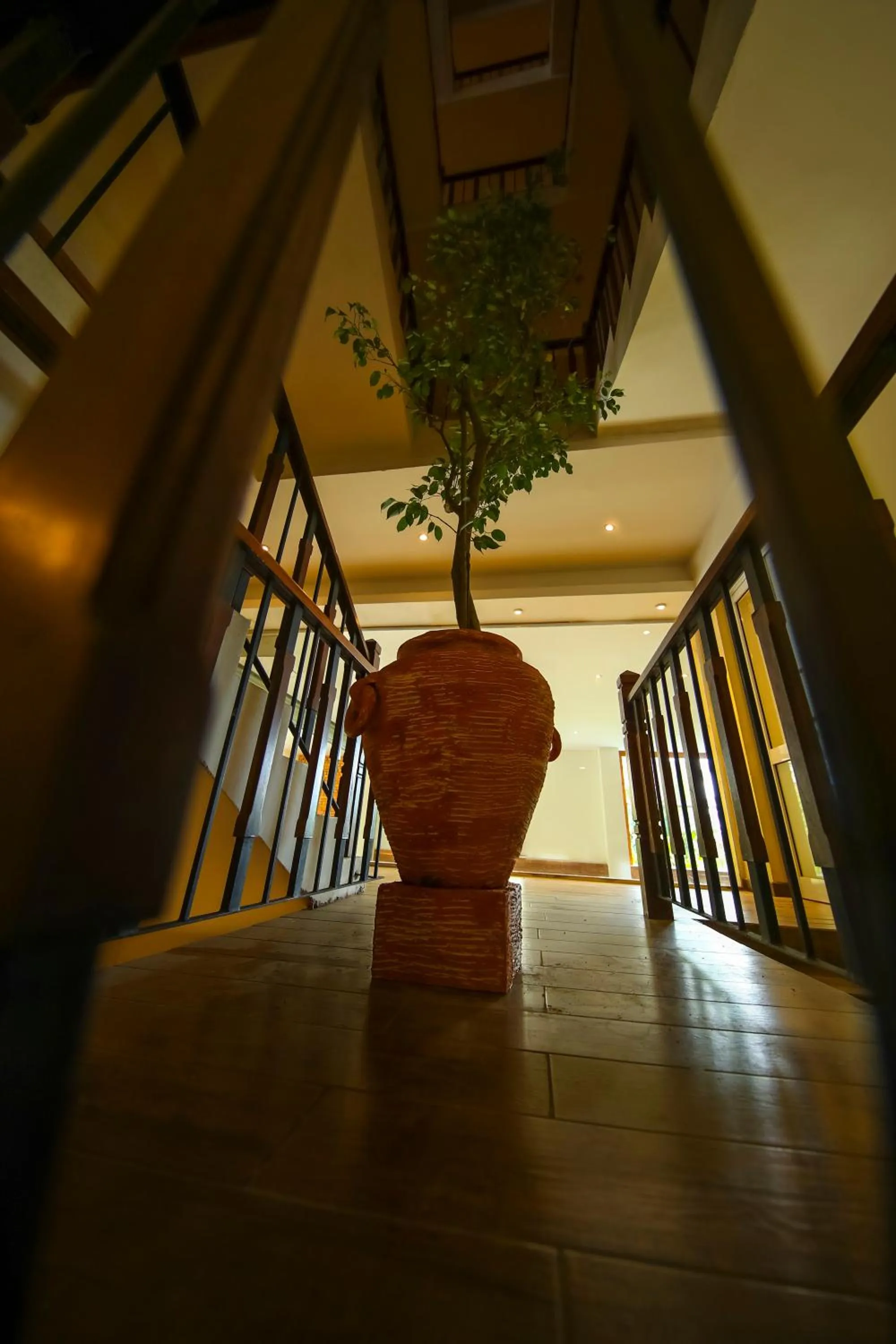 Property building in Serene Kandy