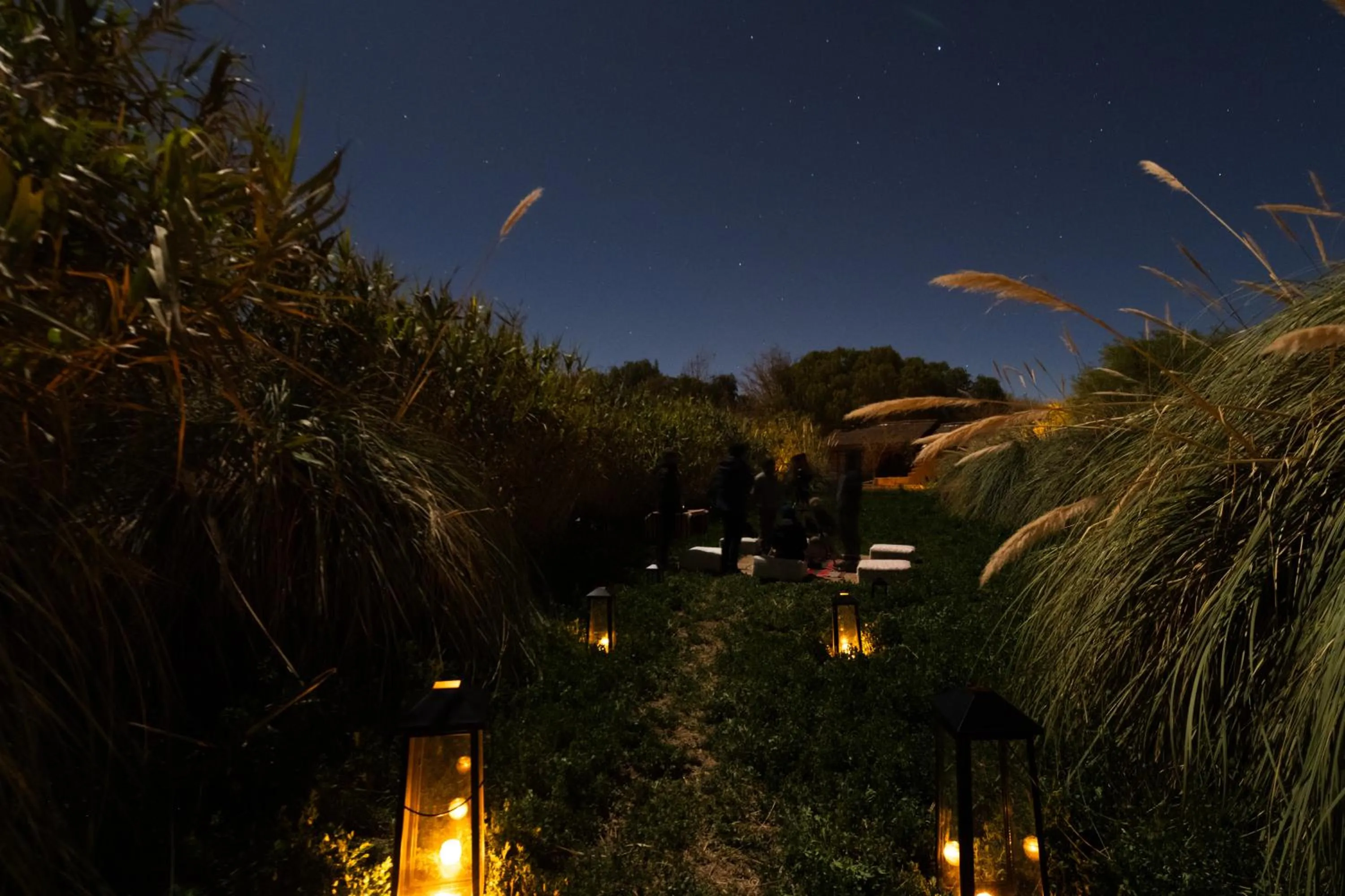 Natural landscape in Our Habitas Atacama