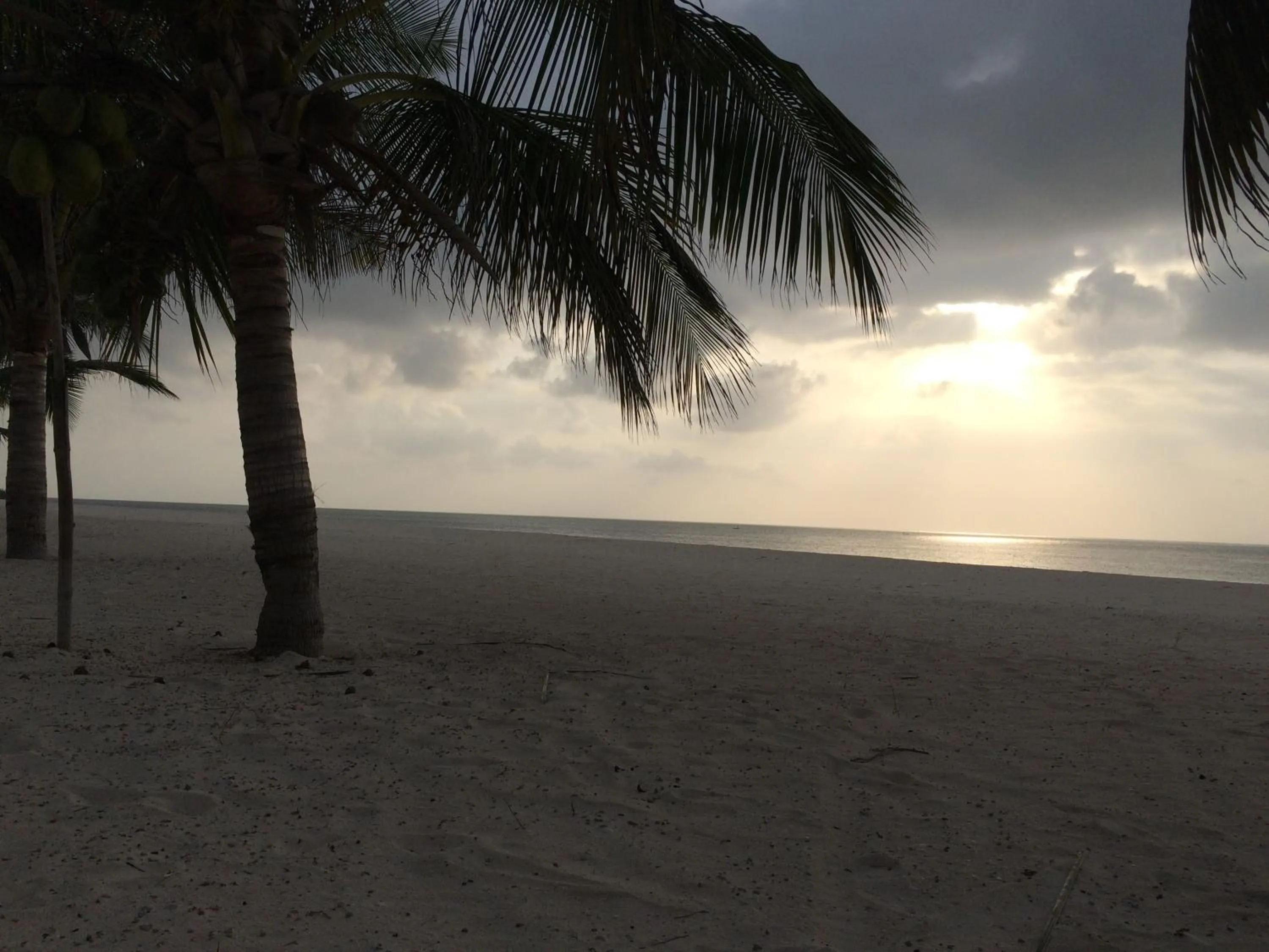 Natural landscape in Life Resort St. Thomas Royal Palm