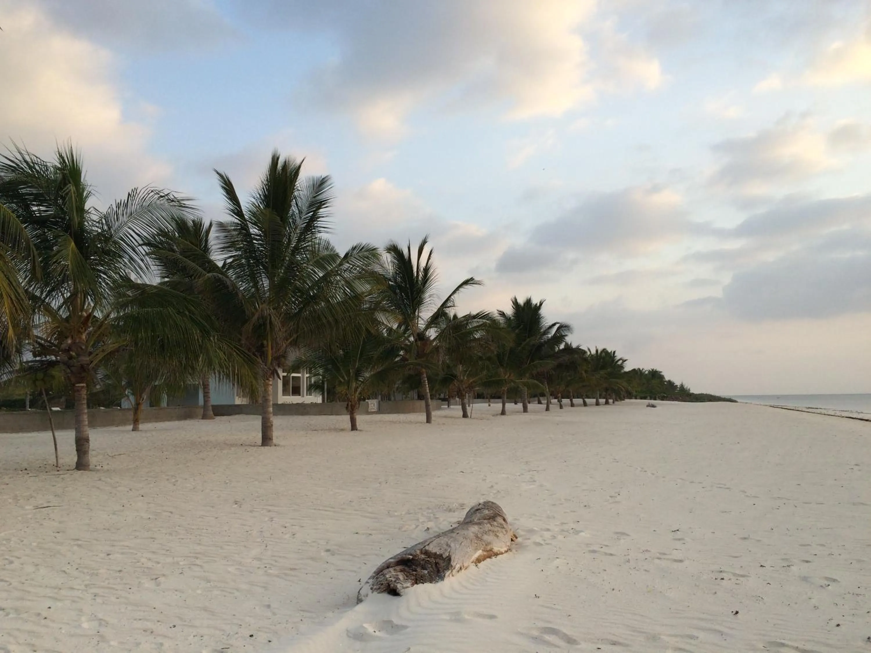 Beach in Life Resort St. Thomas Royal Palm
